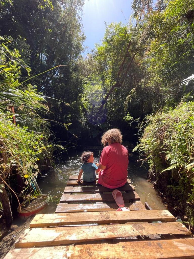 Cabaña del bosque con estero