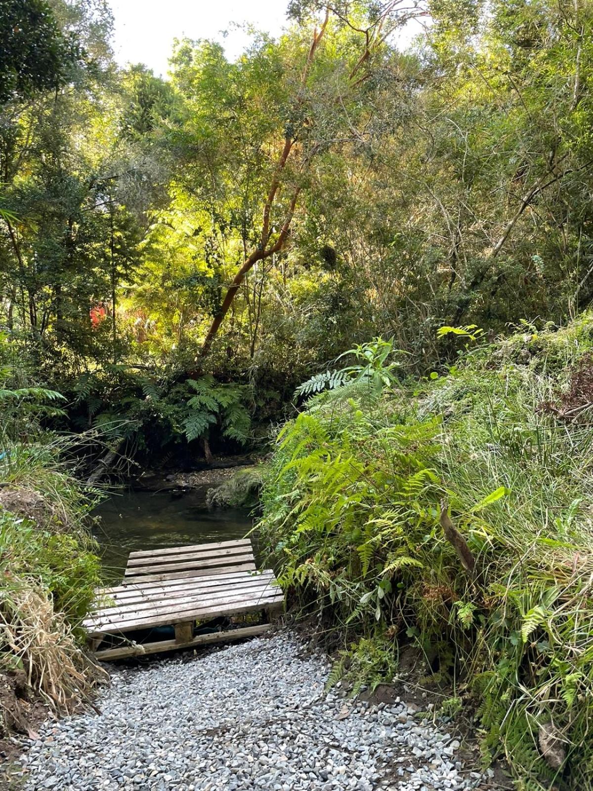 Cabaña del bosque con estero