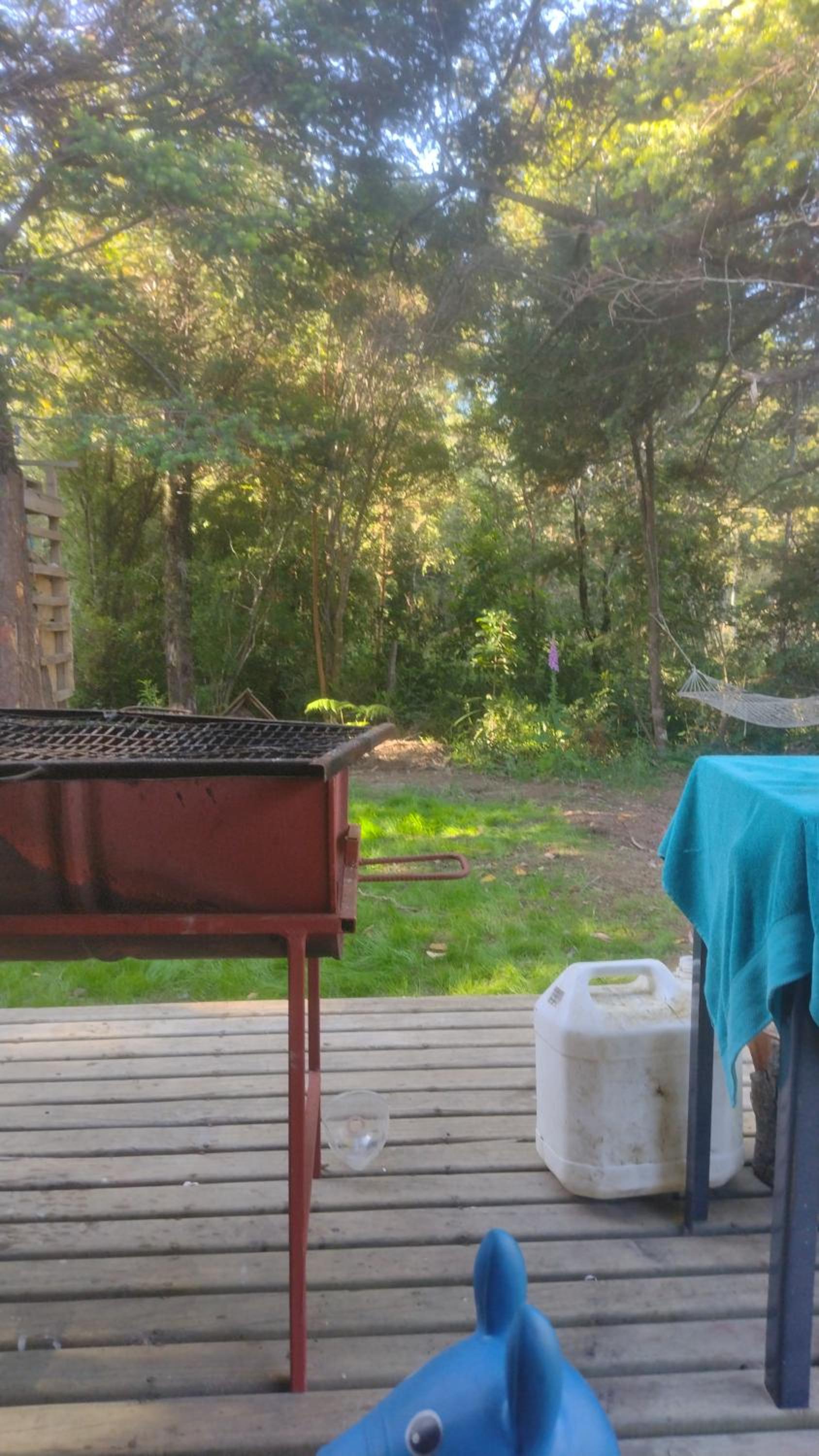 Cabaña del bosque con estero