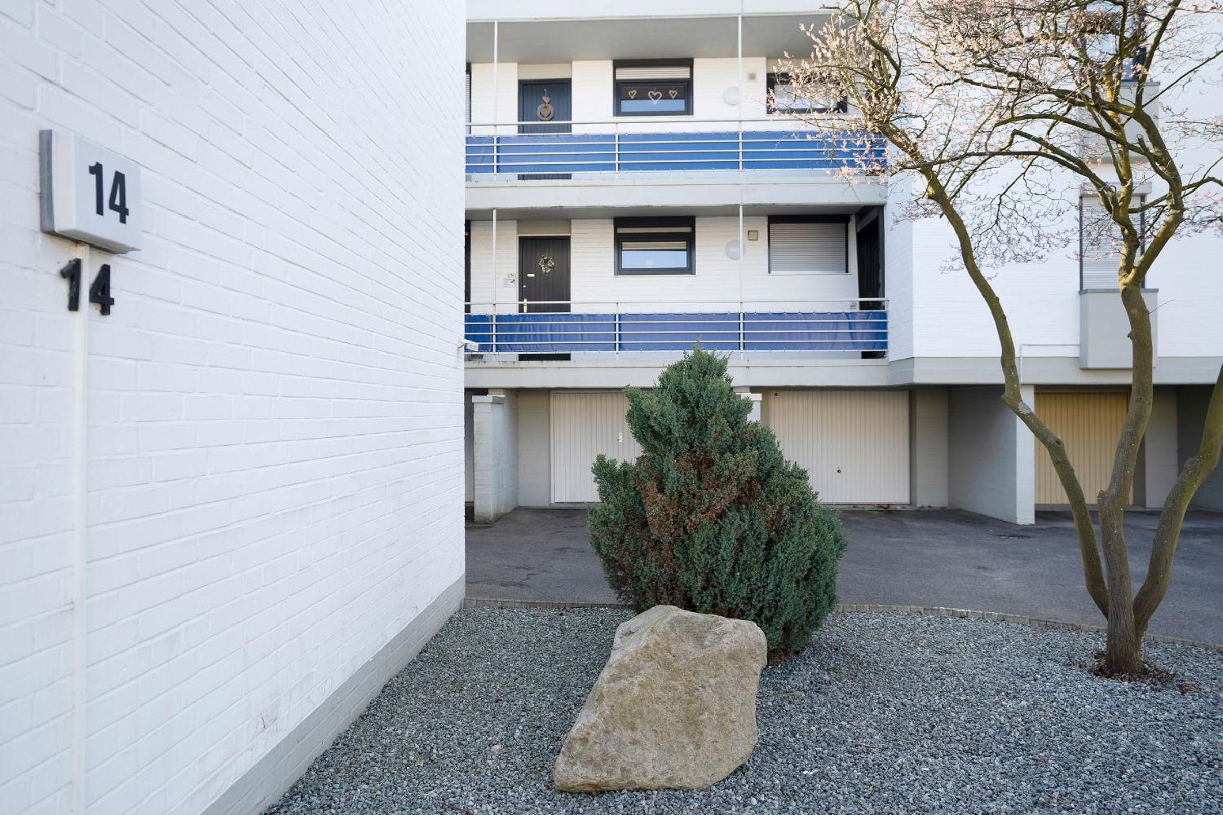 Weidenweg 14- Sonnenblume 9