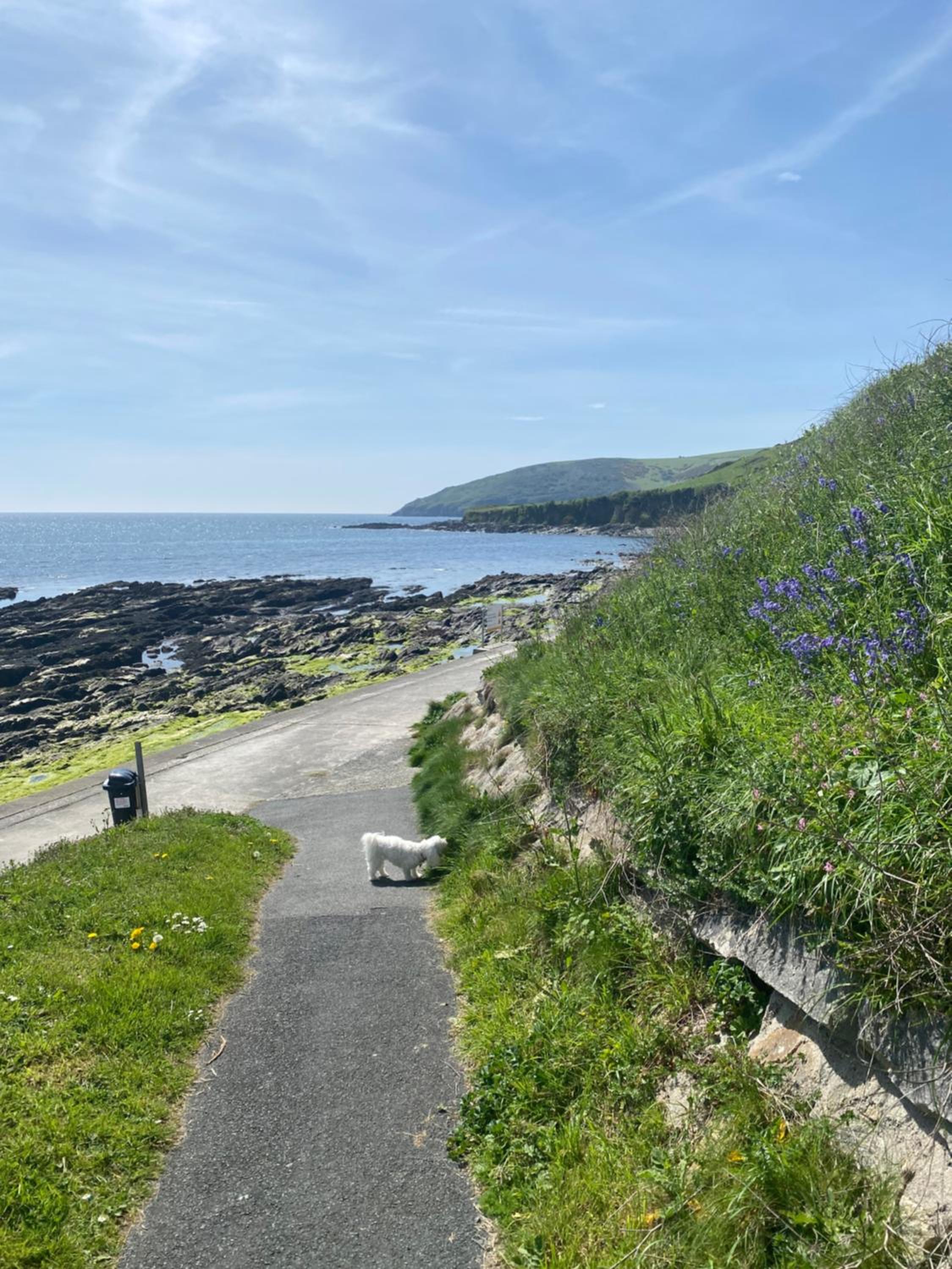 Sea Spirit - Sweeping Sea Views first floor spacious modern apartment in Looe- with FREE parking! view 2