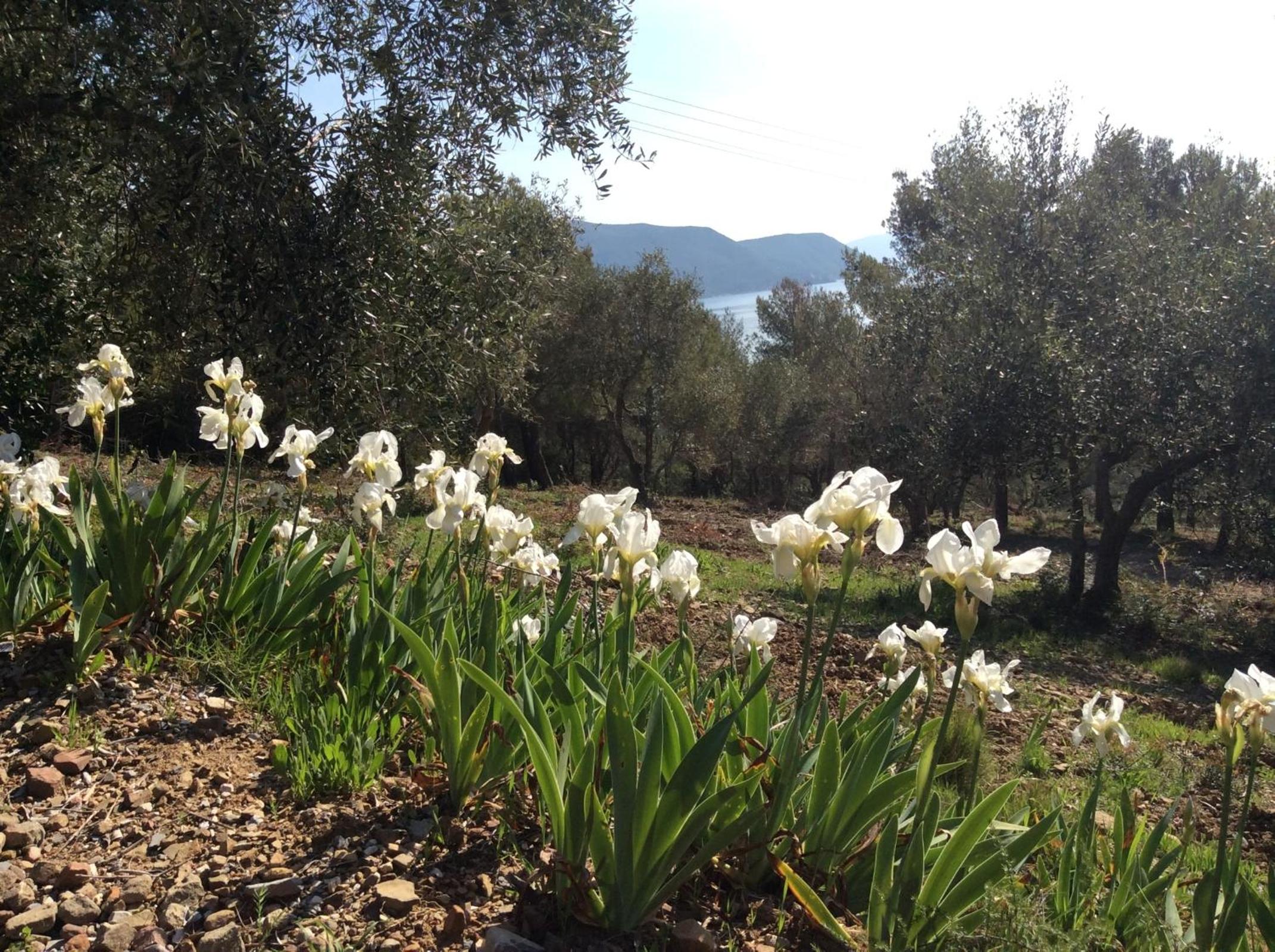 Agriturismo Galenzana