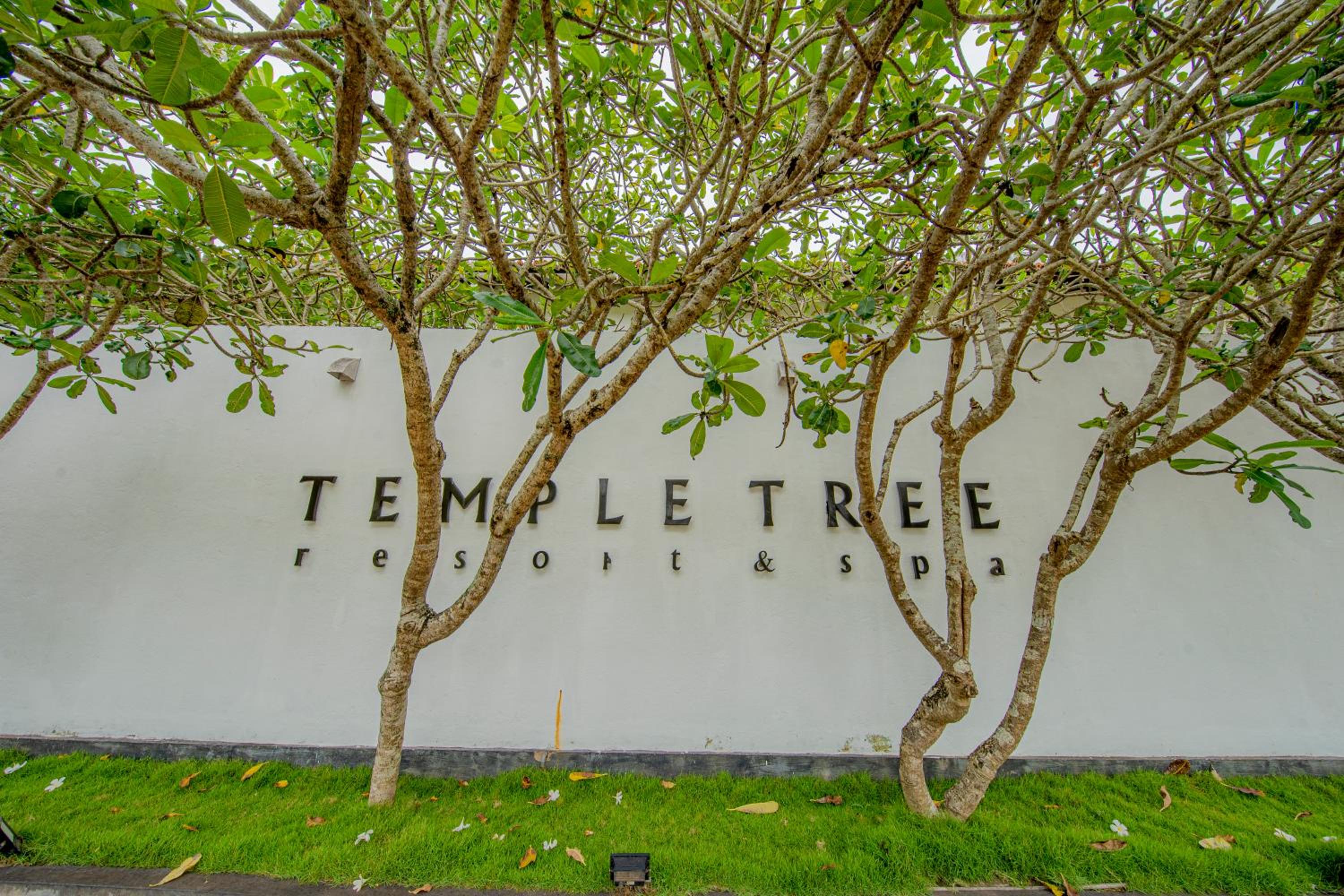Ricorso & stazione termale dell'albero del tempio — photo 4