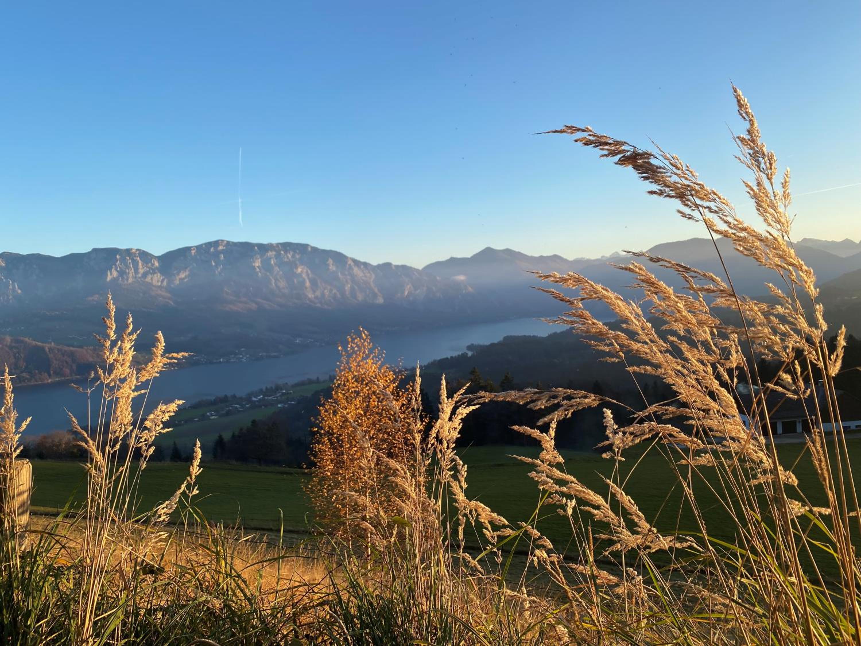 moderne Apartments am Attersee Dachsteinblick - ruhige Lage mit traumhaften Blick
