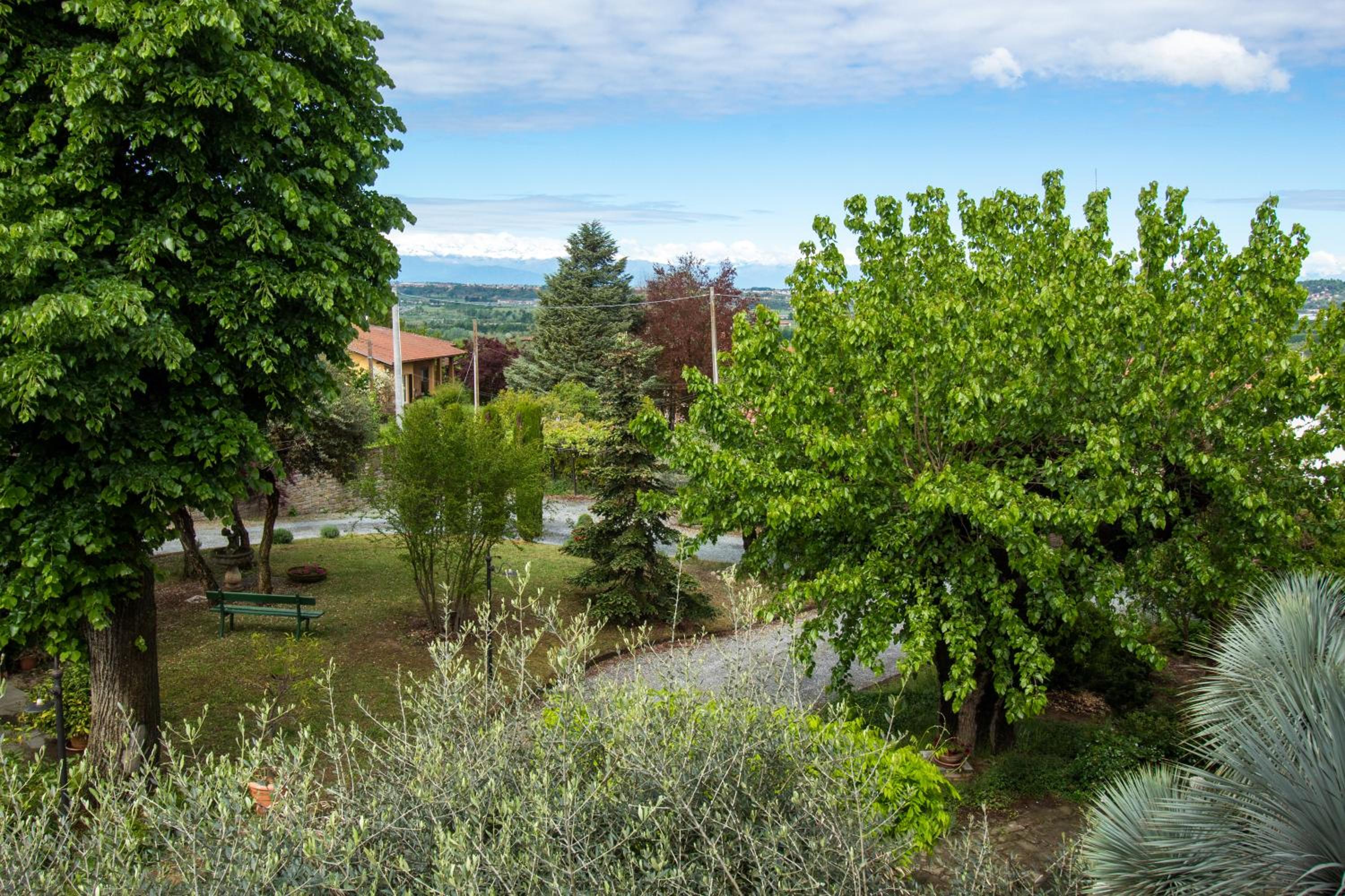 Alba Morus
