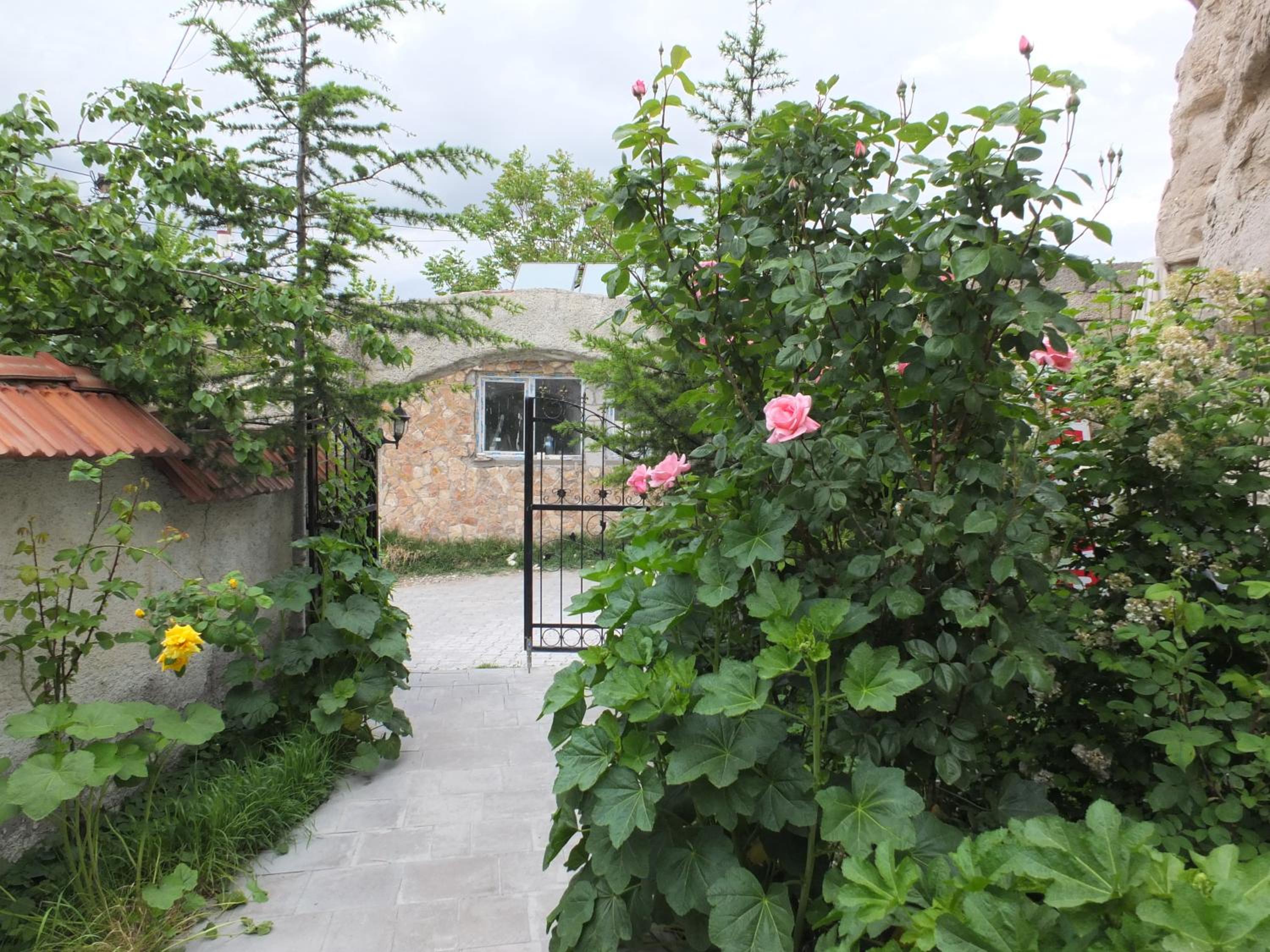 Photo 12