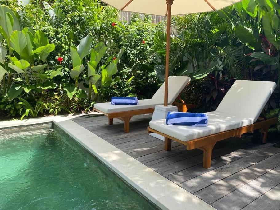 Savvy Villa, a Tranquil Oasis & Walk to the Beach