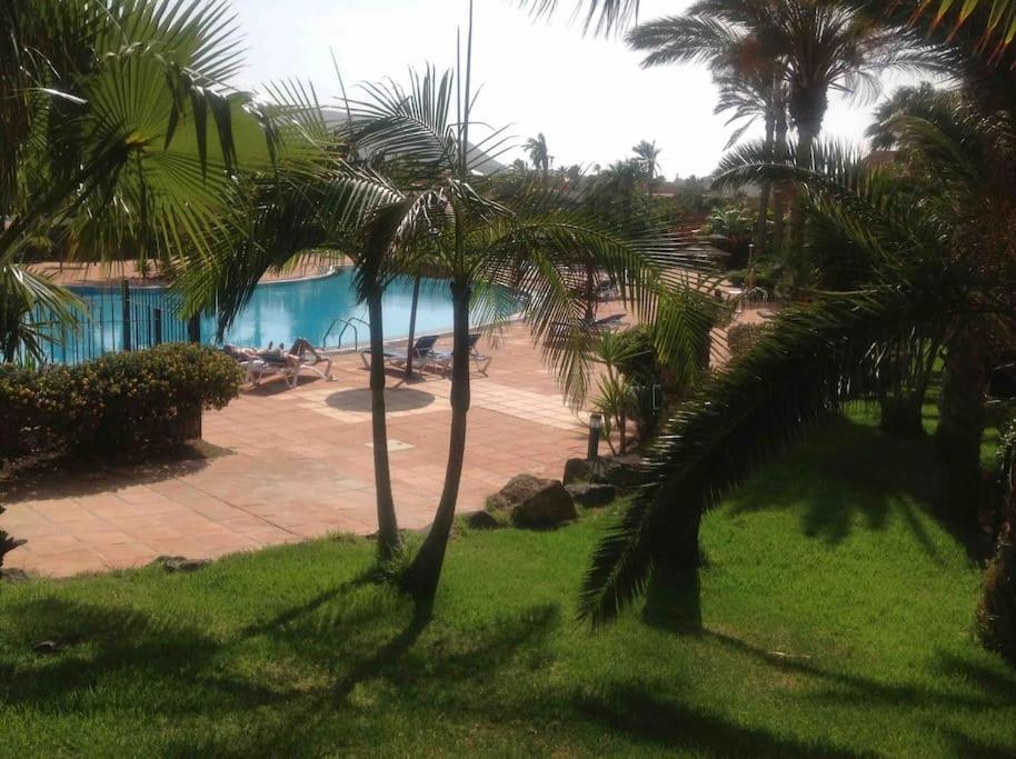 B-Rent Tamarindo amazing sea view