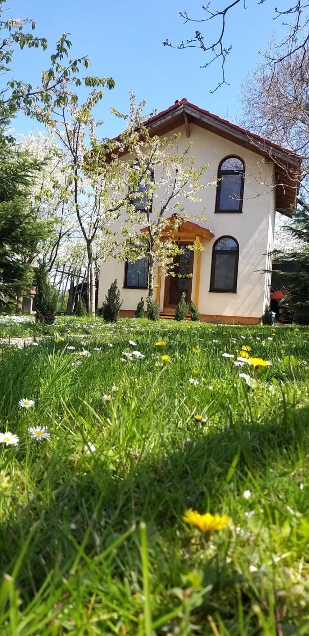 TINY CABIN
