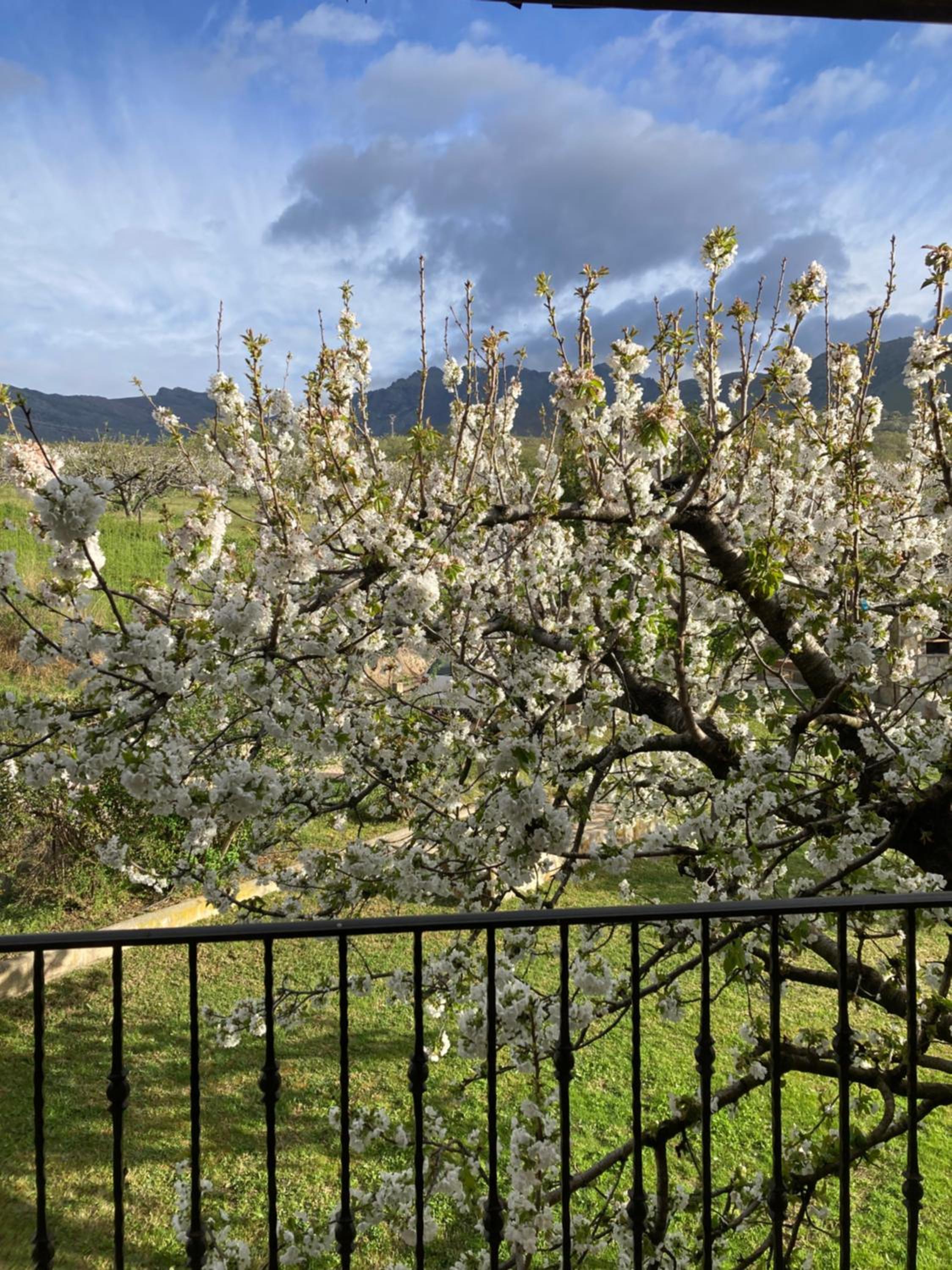MIRADA A GREDOS