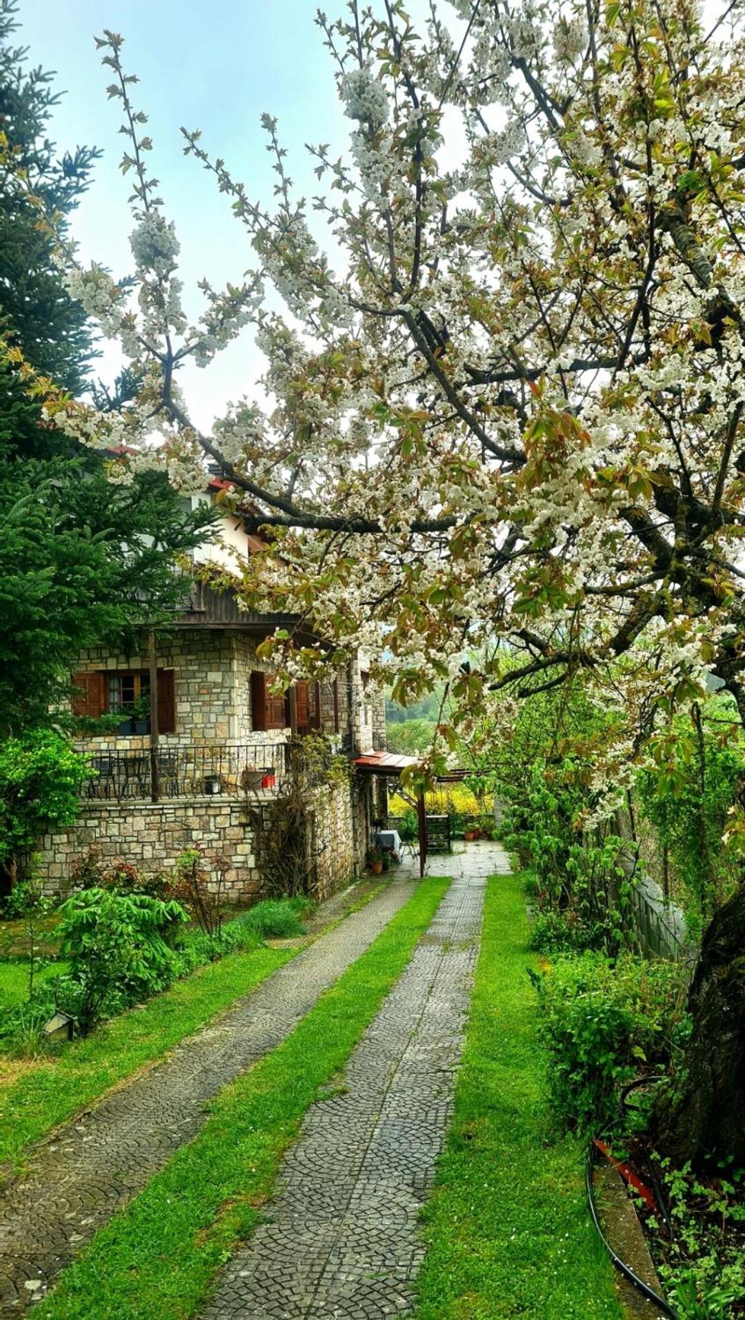 Guesthouse Odysseas view 4