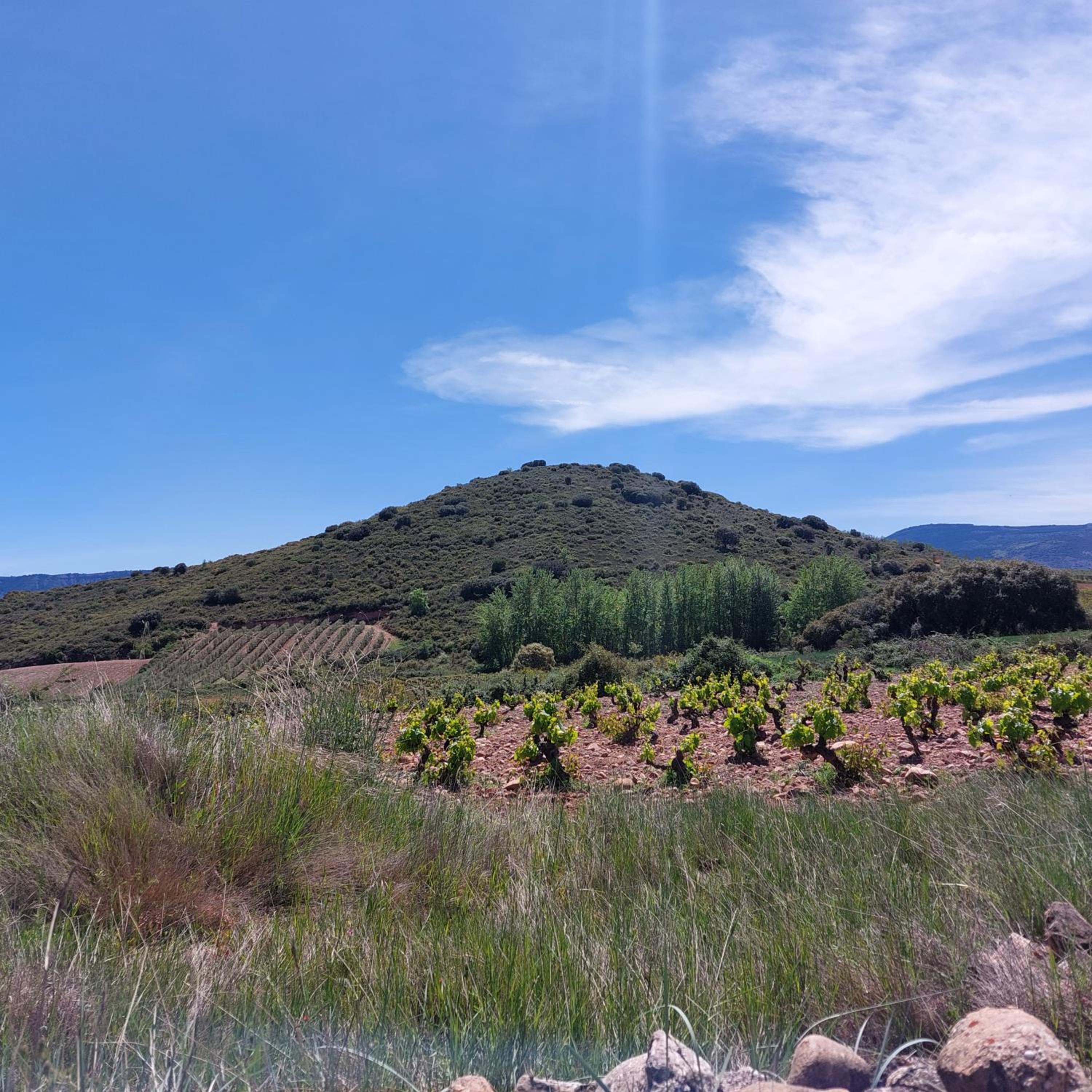 Sojuela Turismo Golf Naturaleza y VIno
