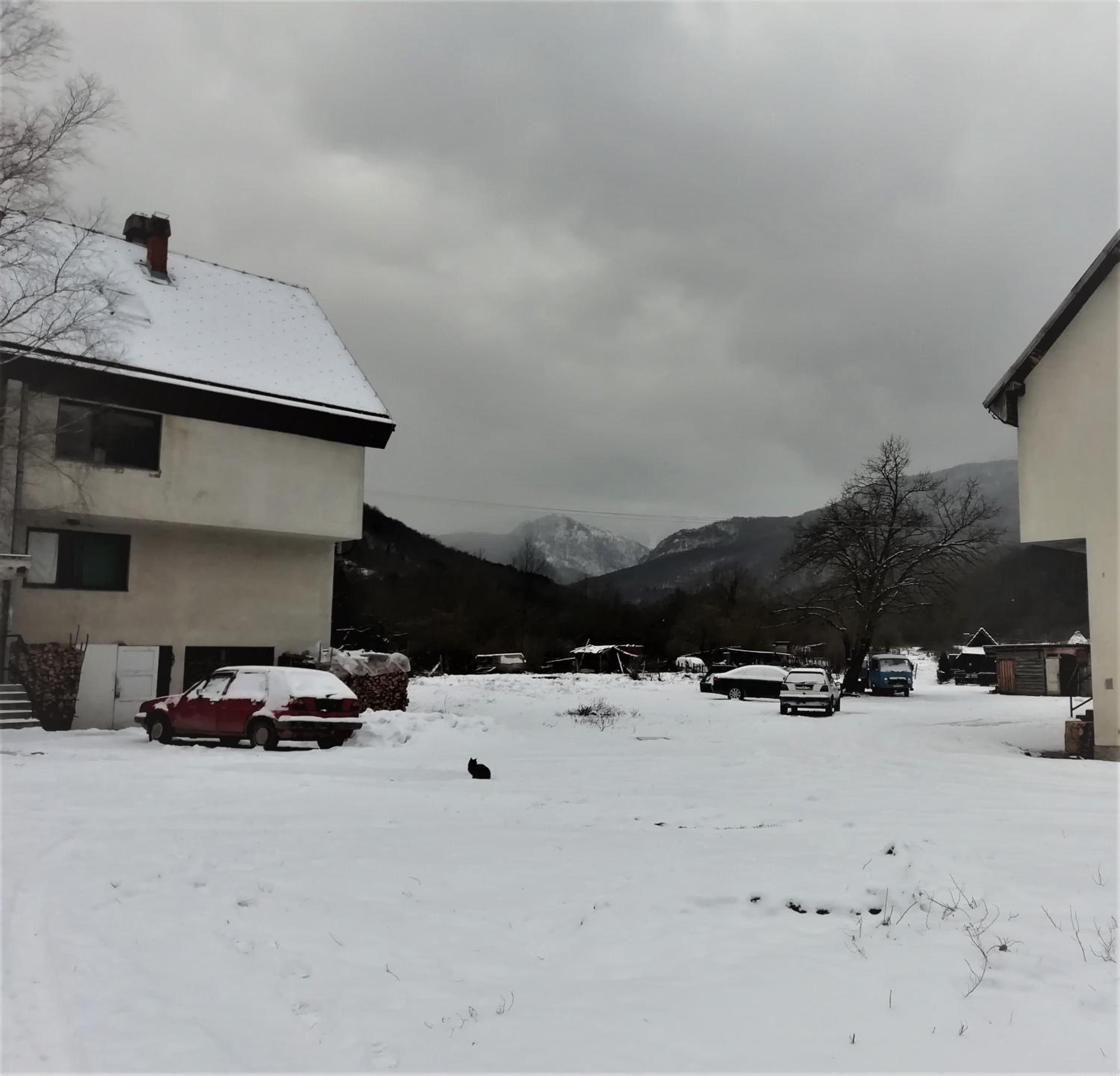 Tratinčica
