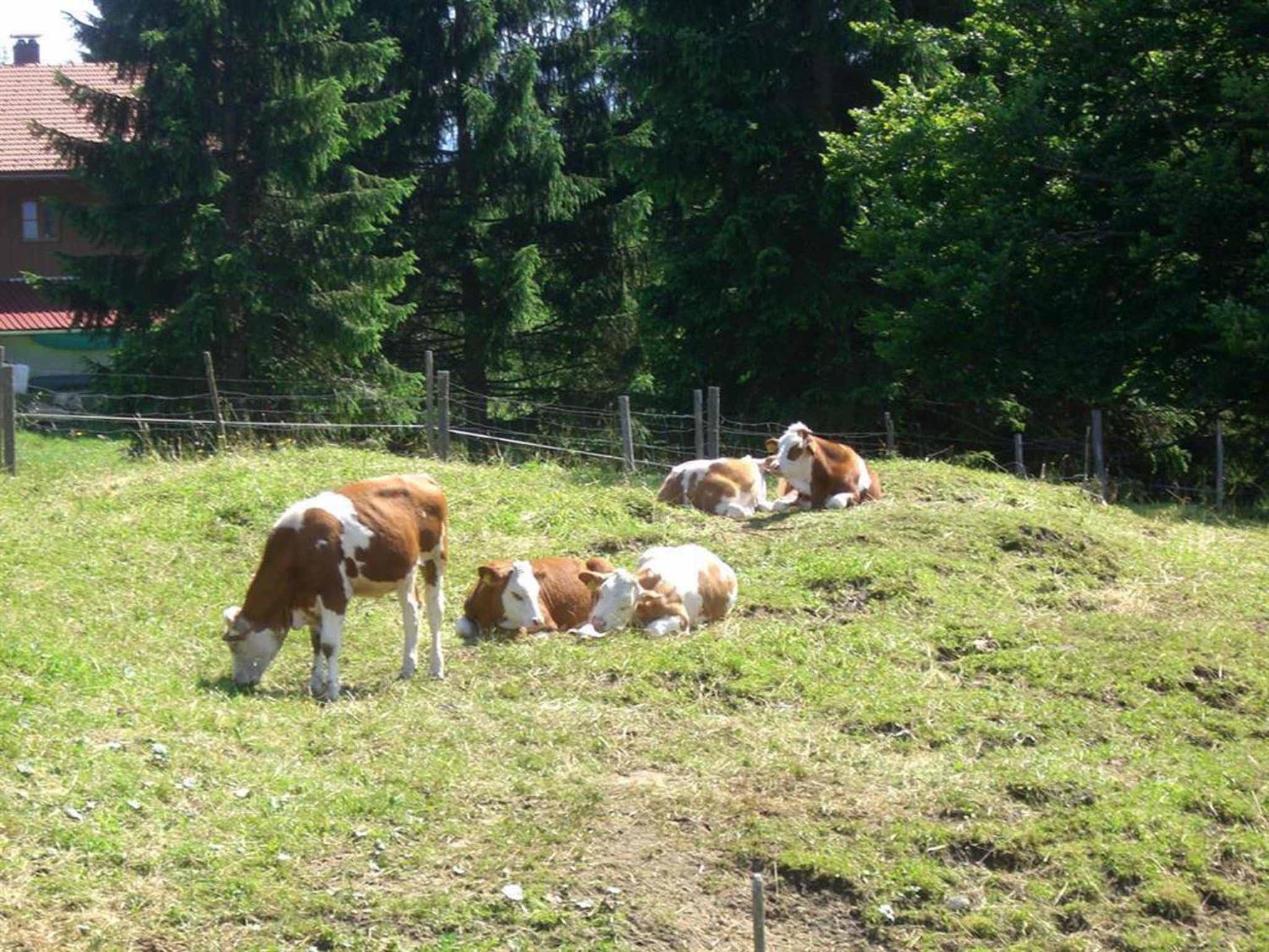 Ferienwohnung Berghof