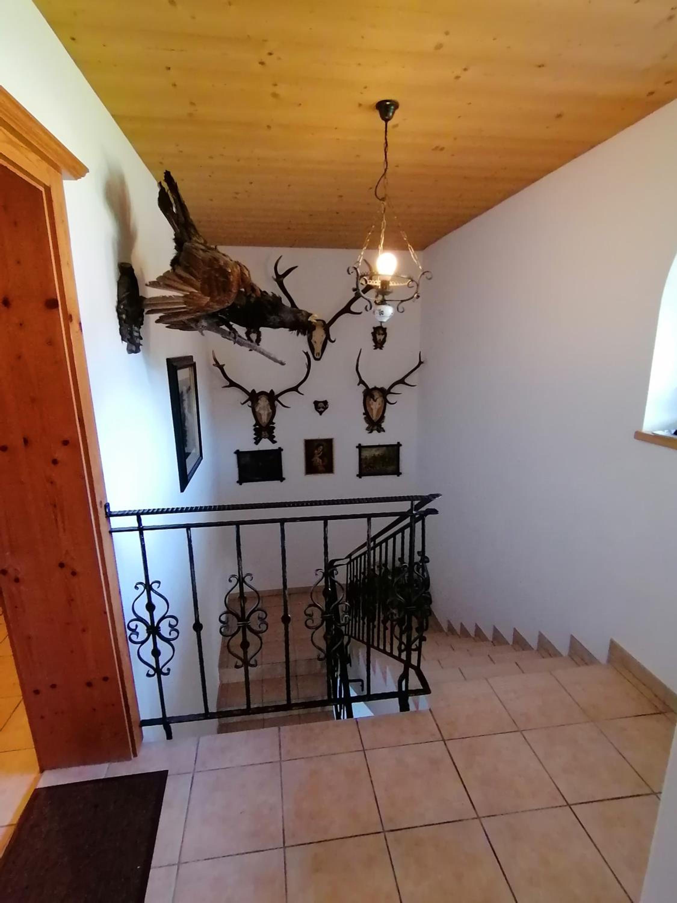 Photo 38