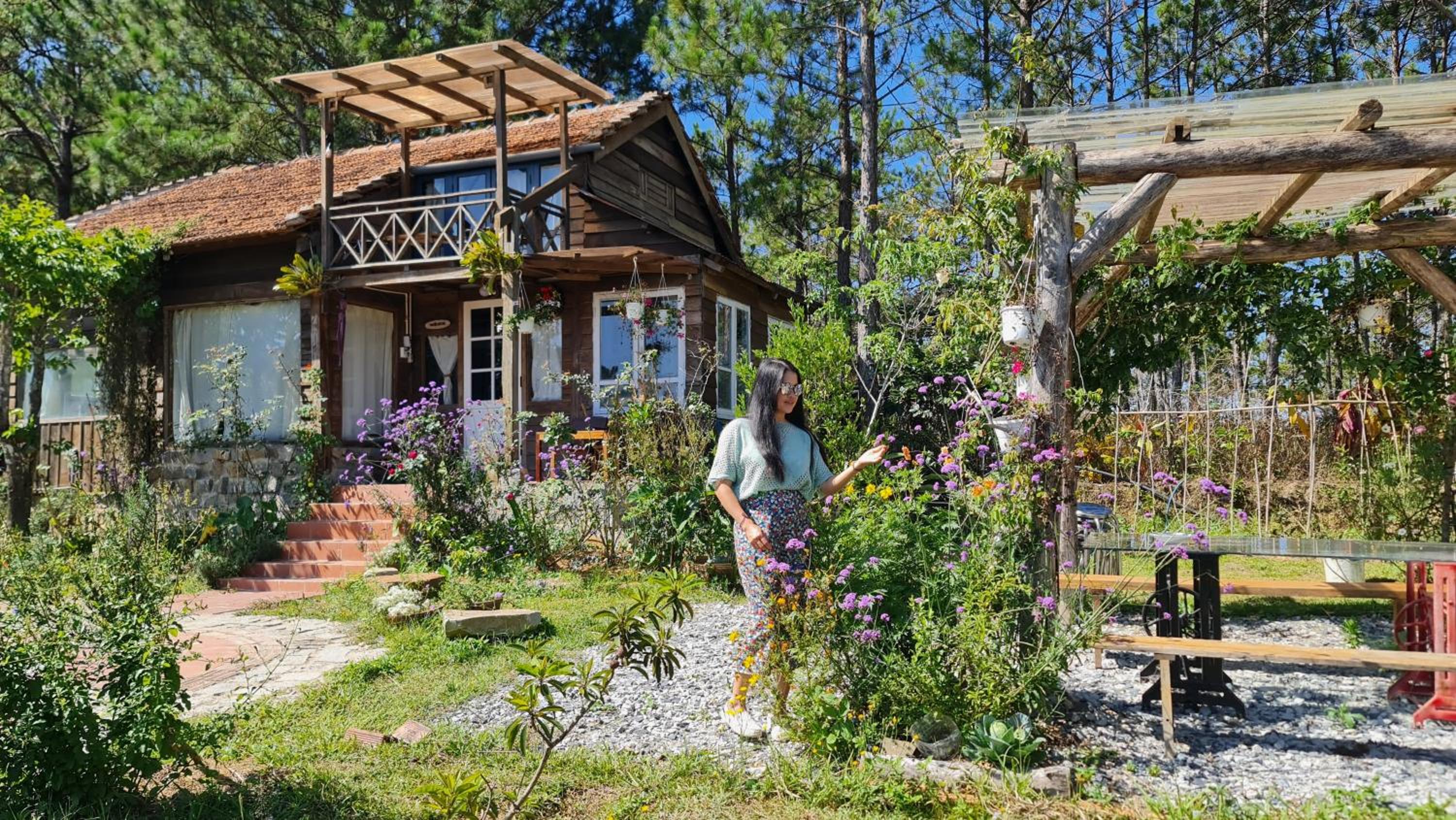 Romantic house on a pine hill Dalat view 5