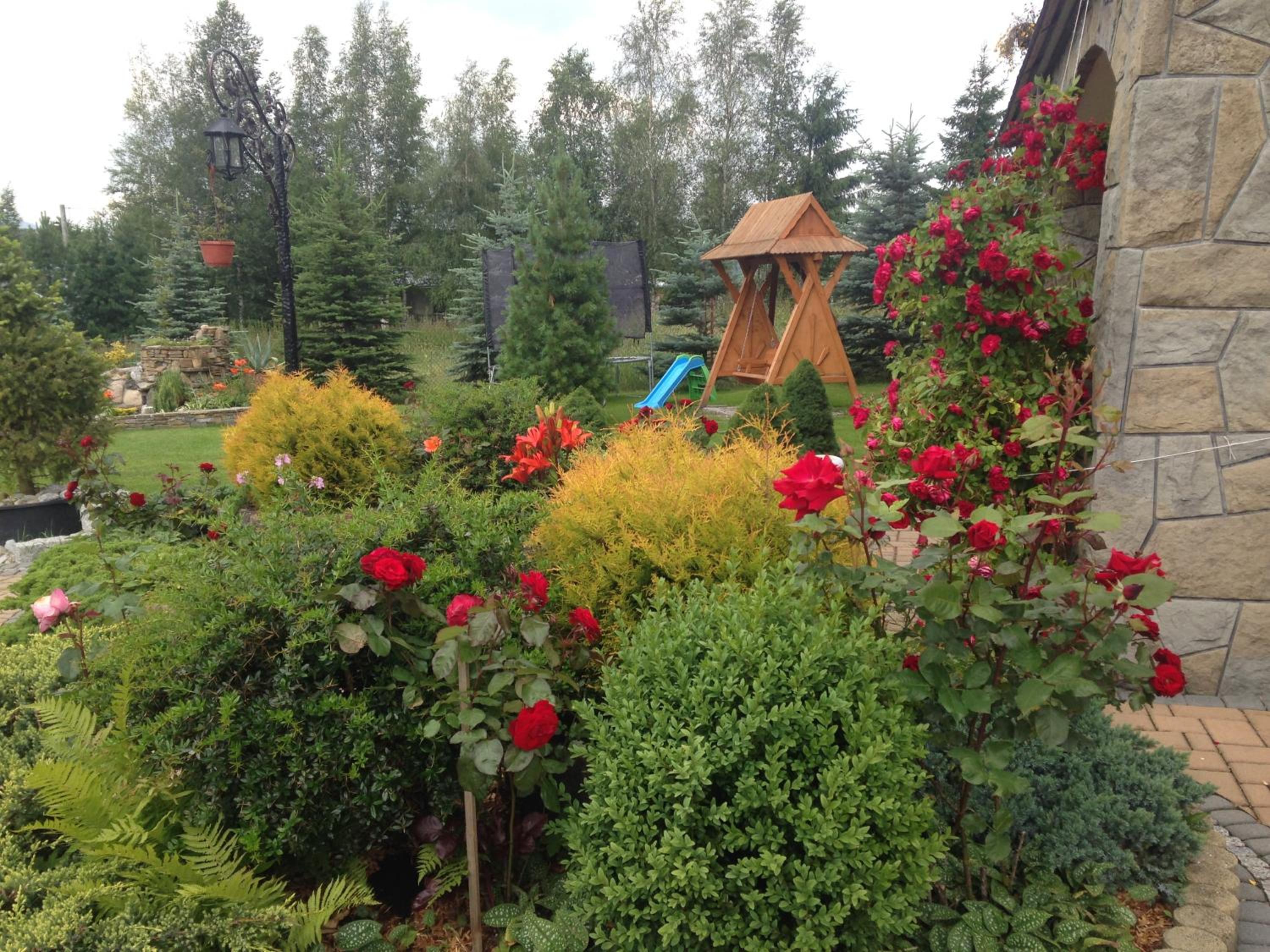 Photo 43