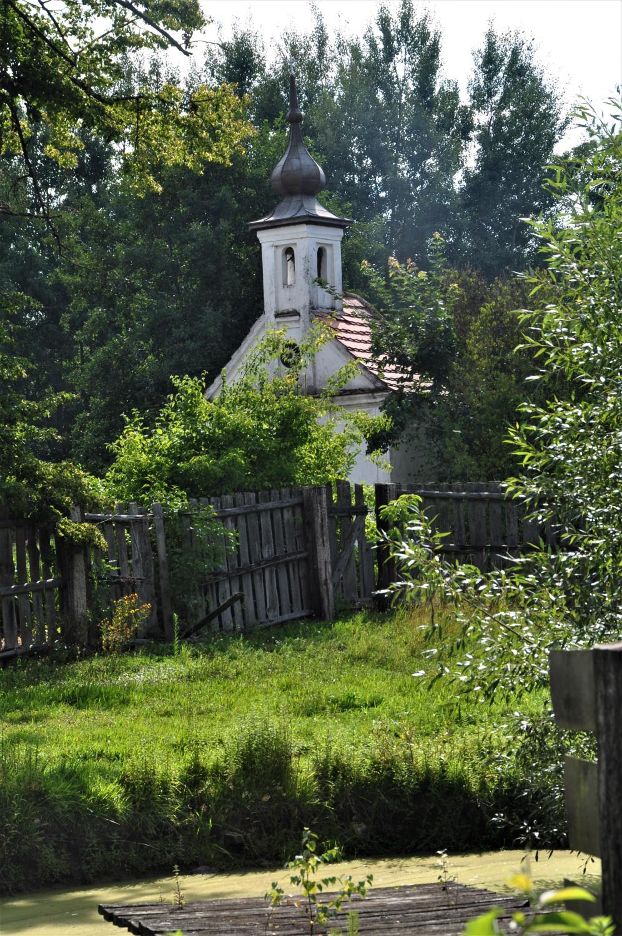 Statek Polzov