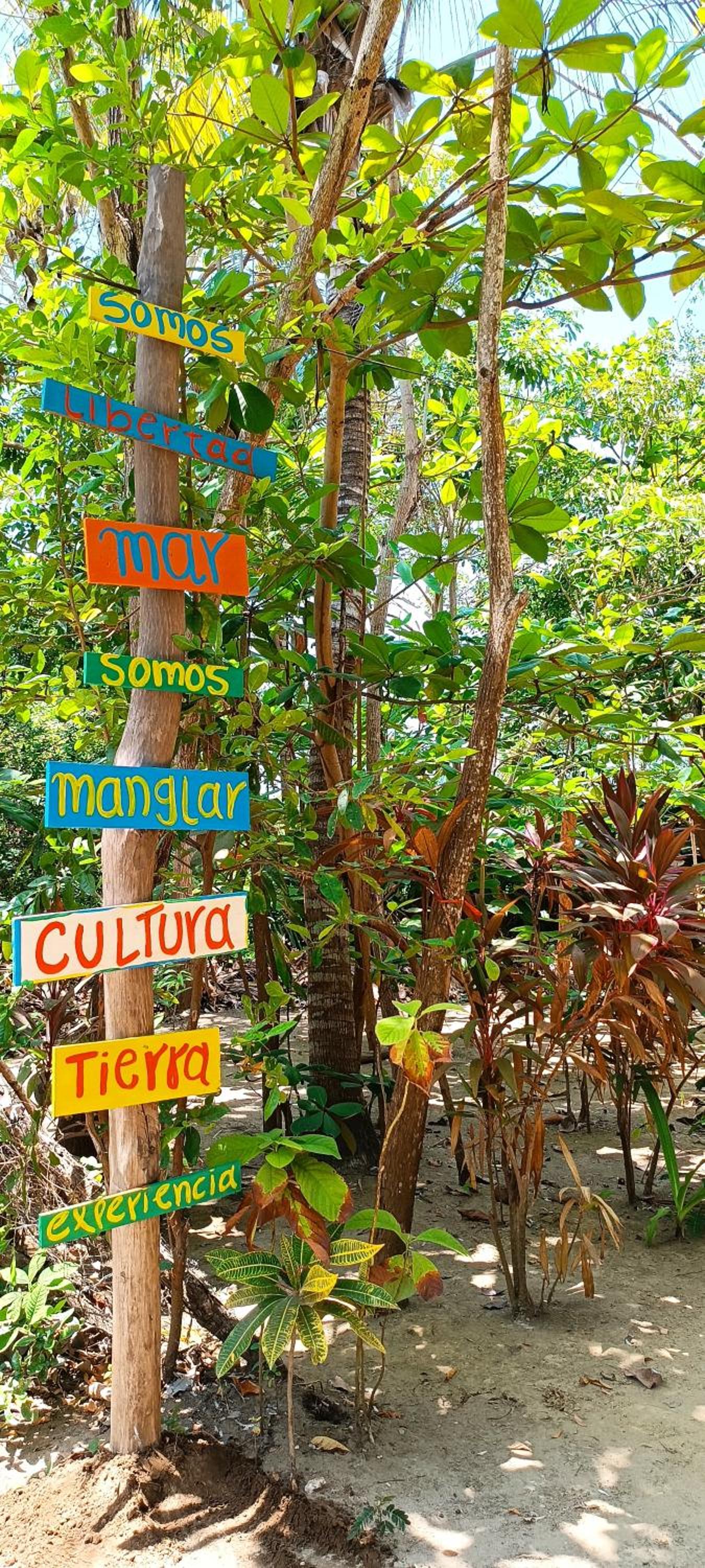 El Viejo del Mar