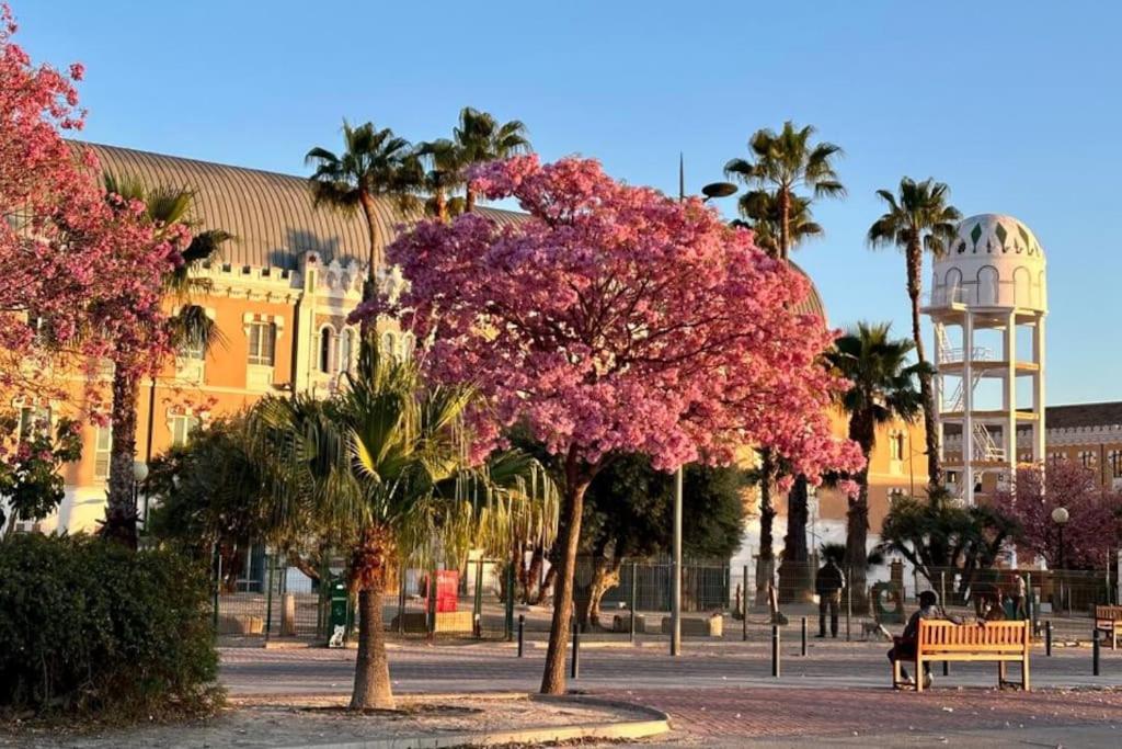 Apartamento Jacaranda