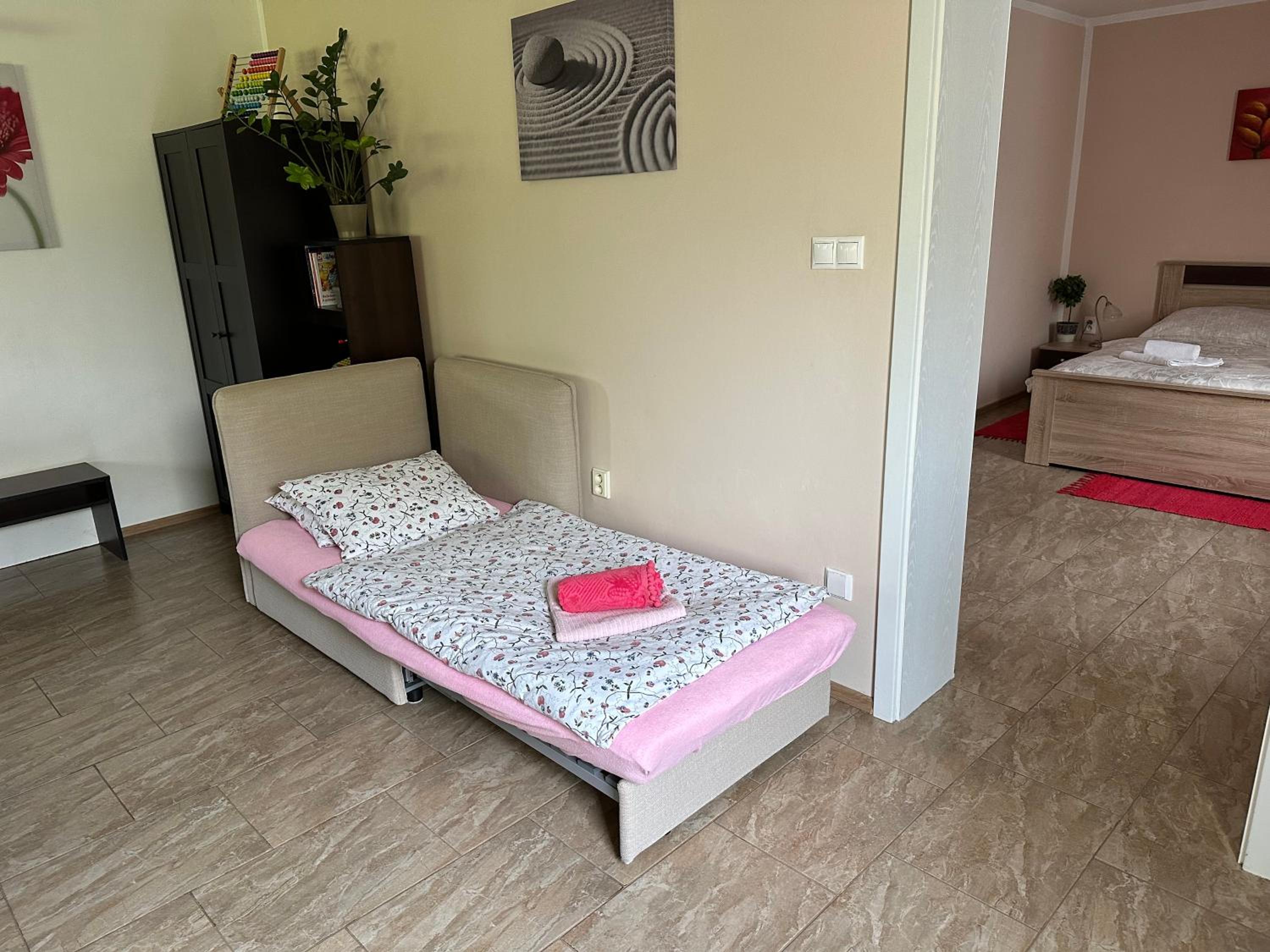 Apartment Boroví