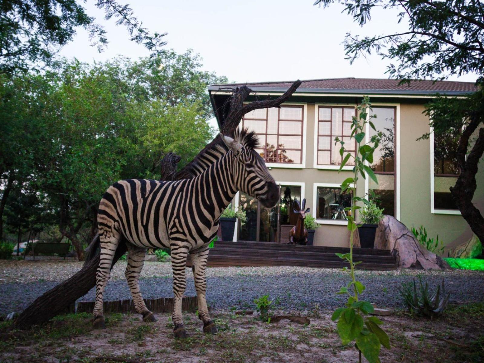 The Castello at Kruger view 2