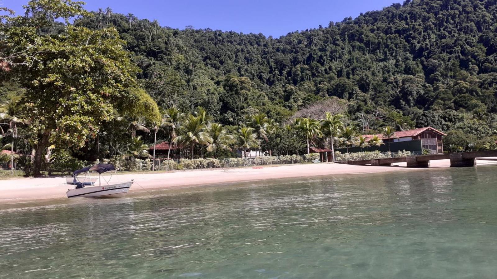 Apartamento em Chácara Aconchegante - Kitnet