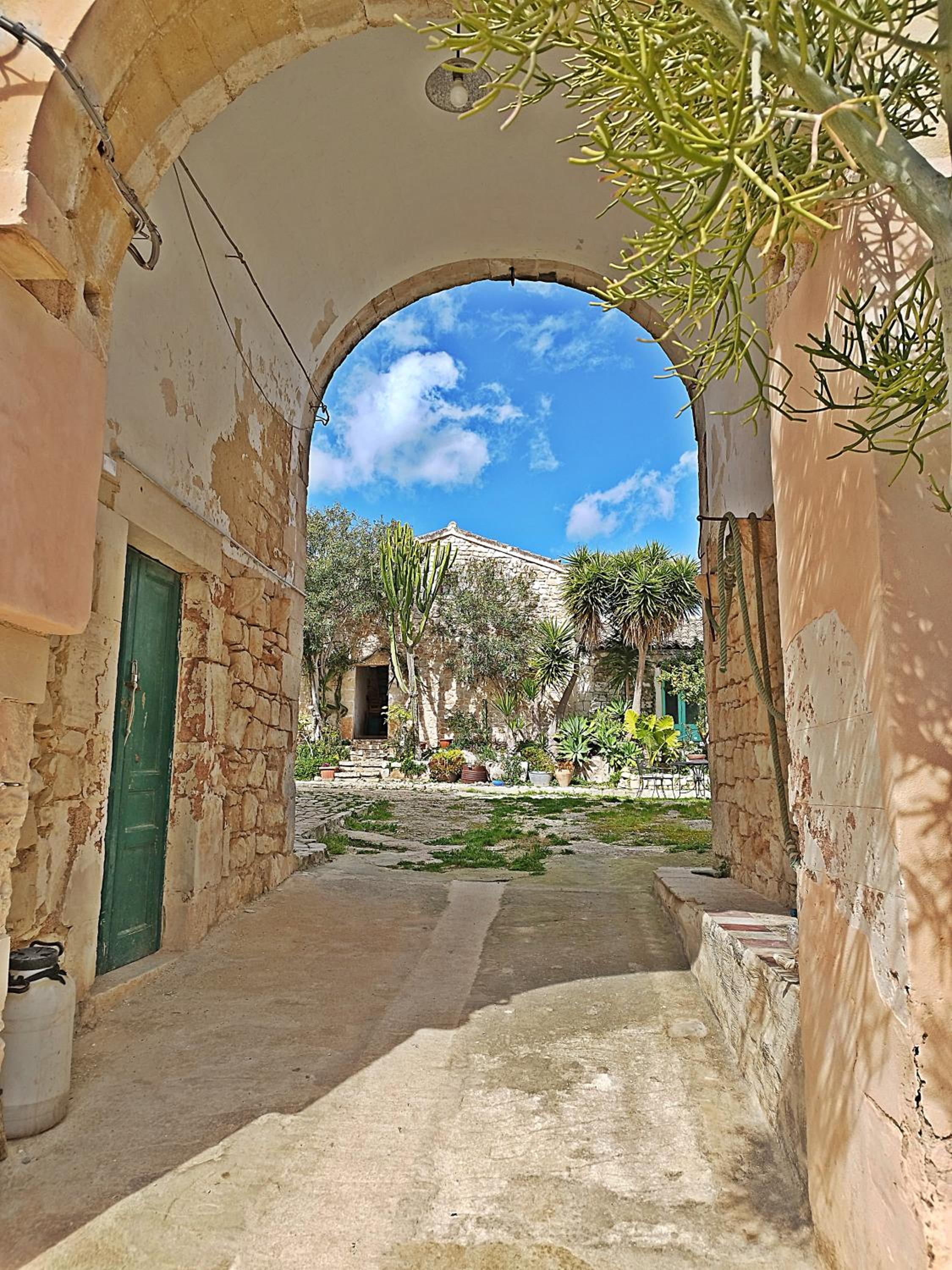 Vinciucci photo 4