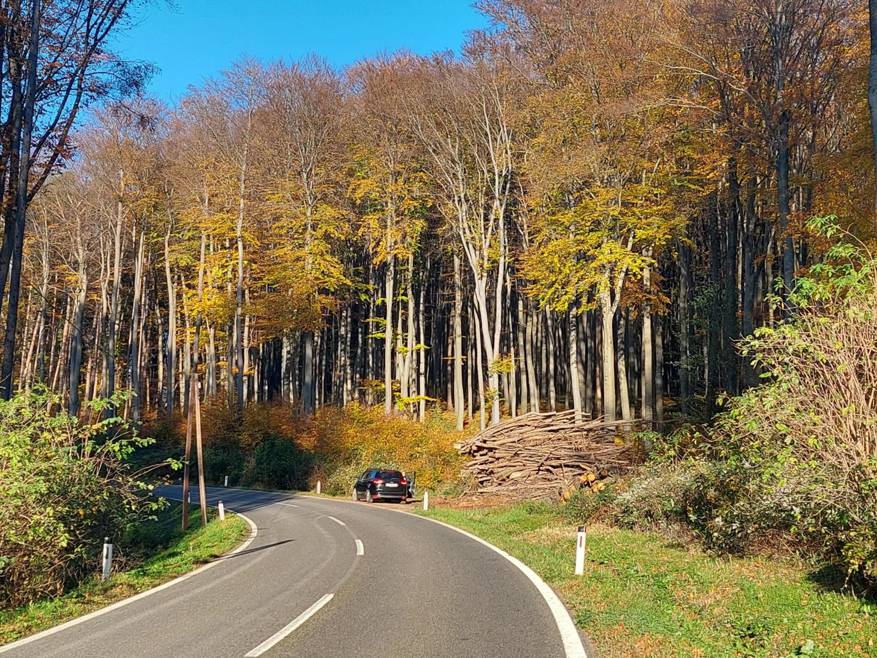 Pension Welserhof