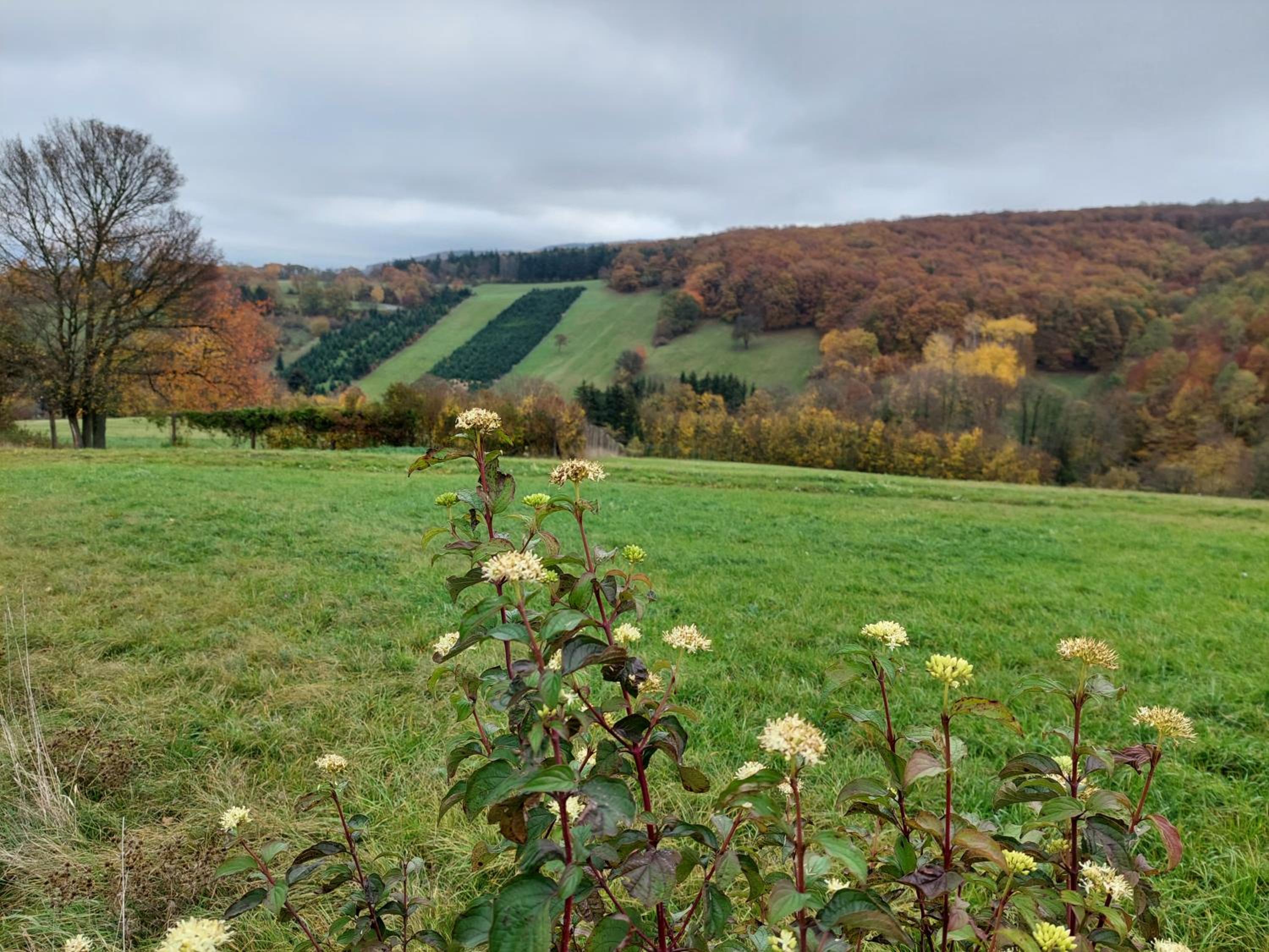 Pension Welserhof