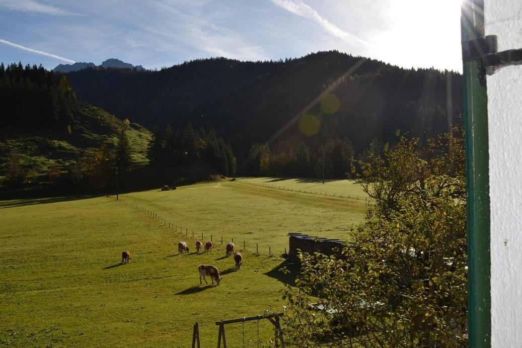 Ferienwohnungen Foidlhof