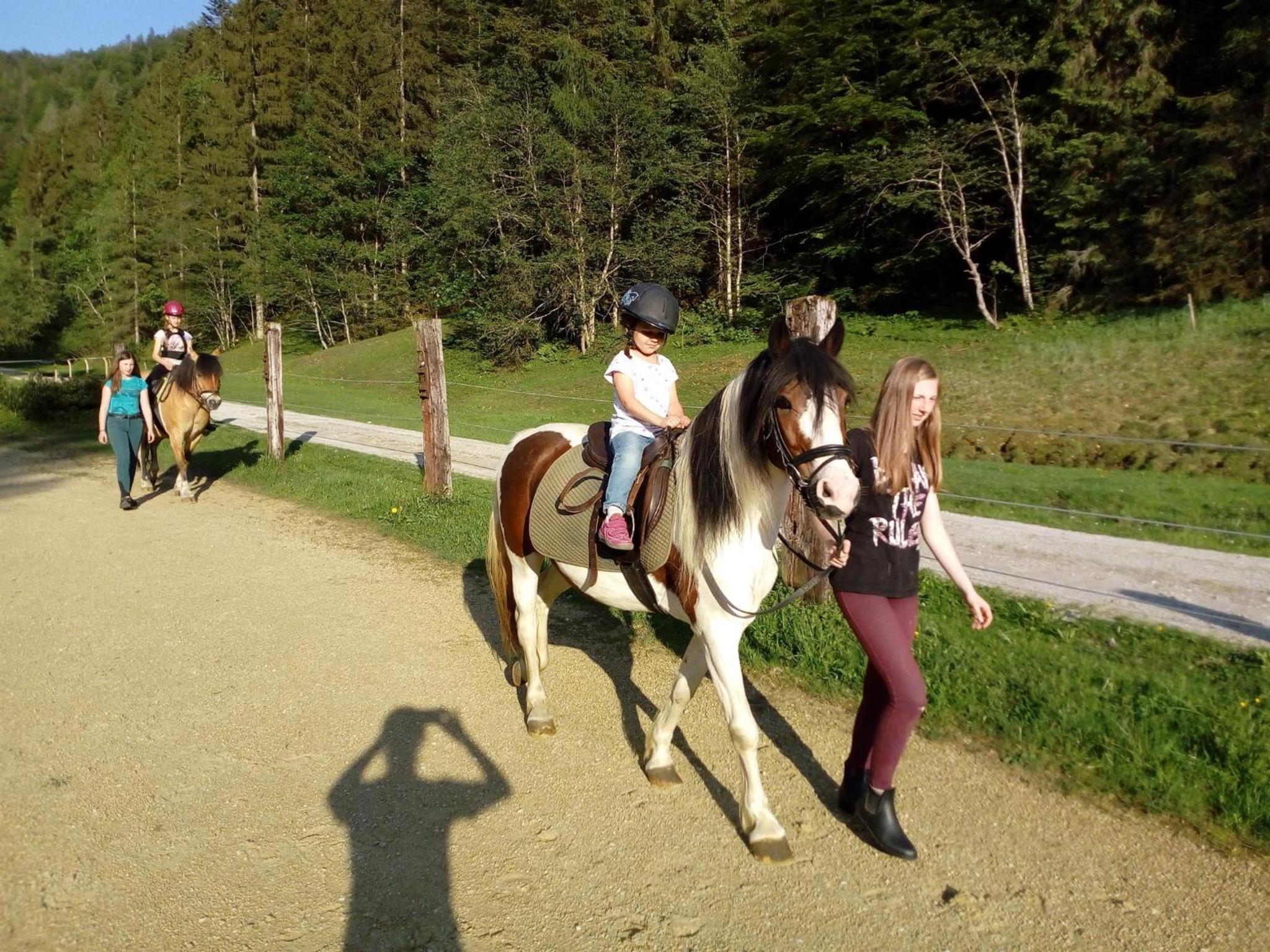 Ferienwohnungen Foidlhof