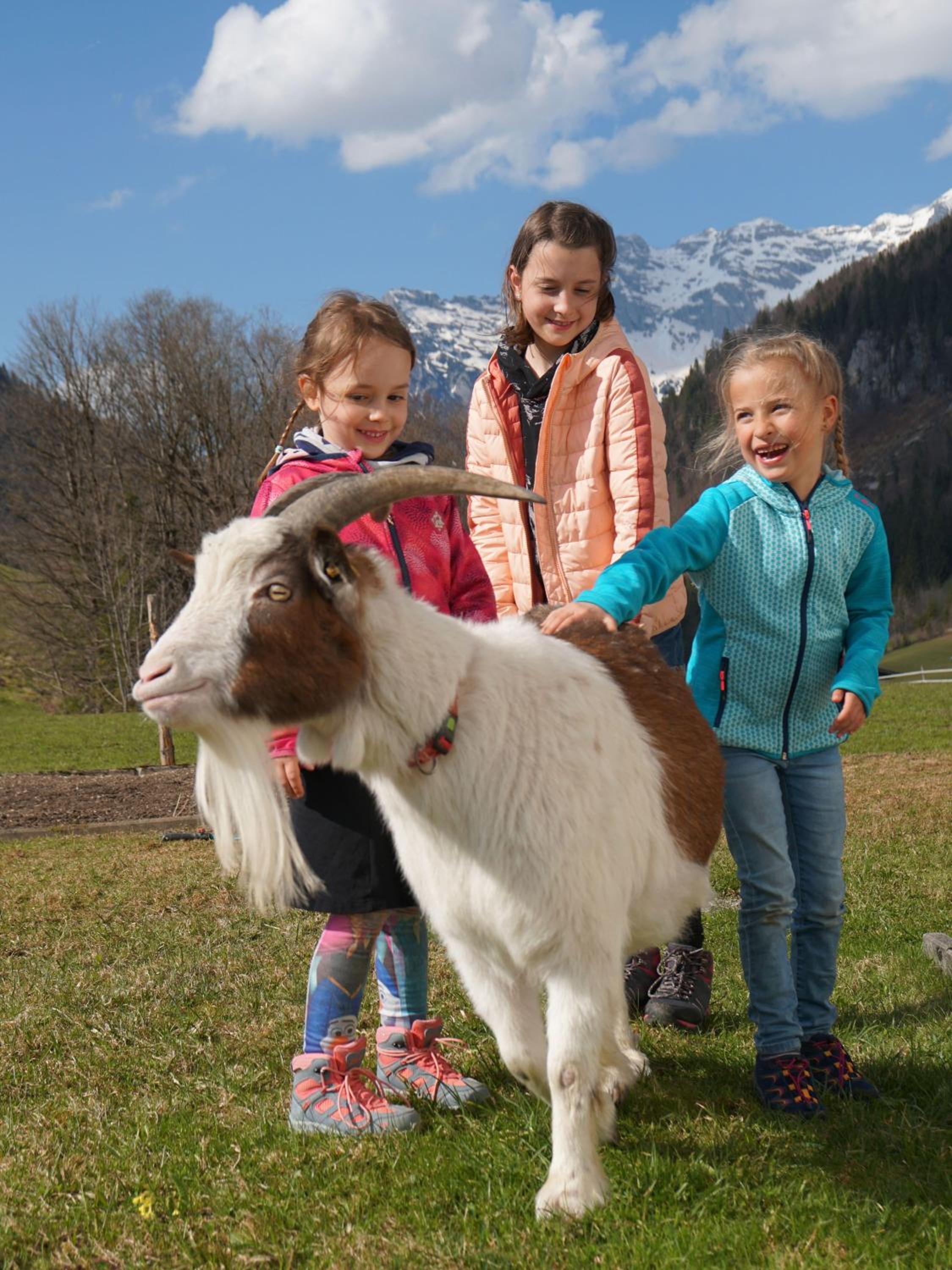 Ferienwohnungen Foidlhof