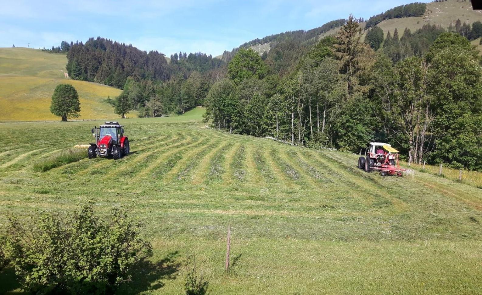 Ferienwohnungen Foidlhof