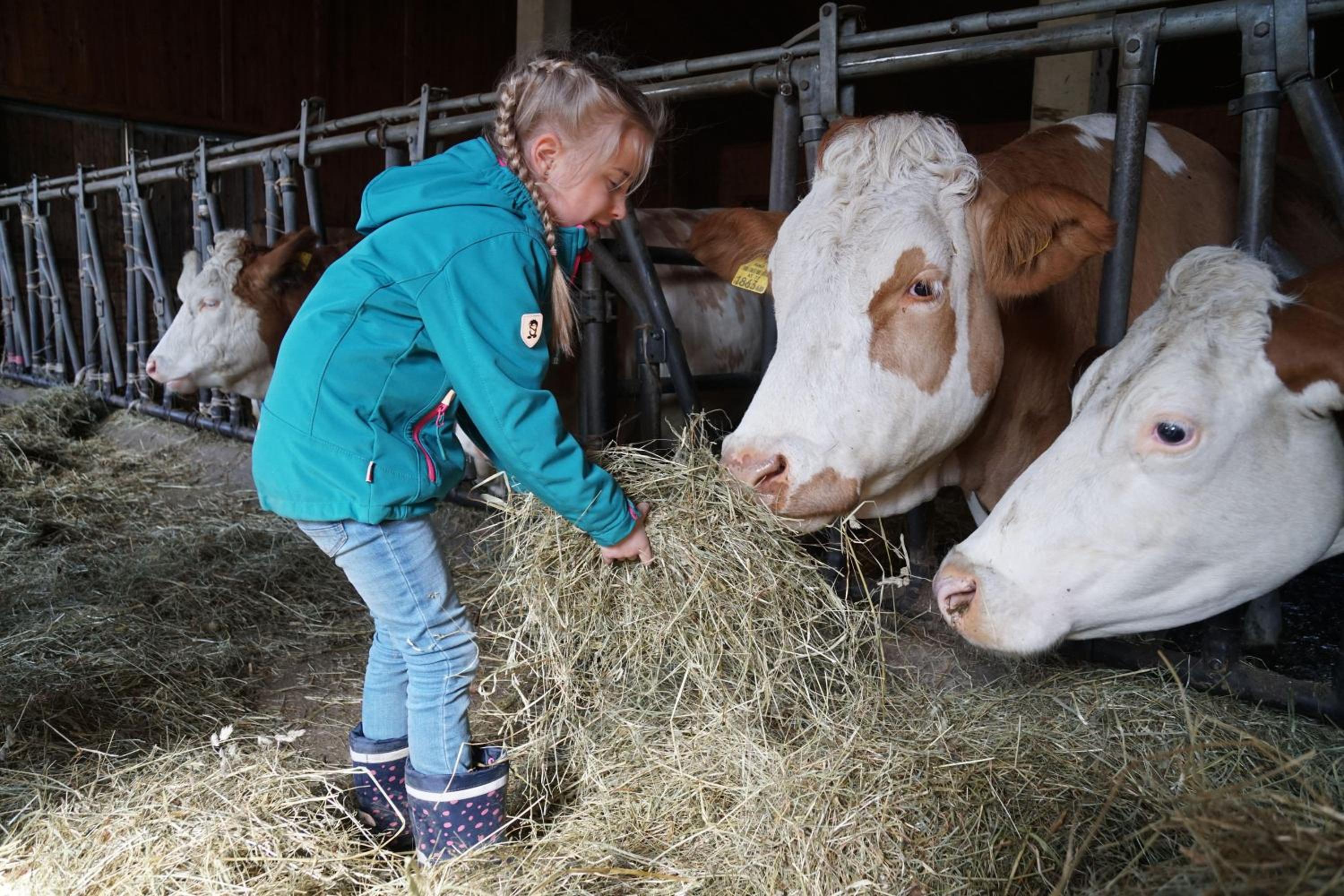 Ferienwohnungen Foidlhof