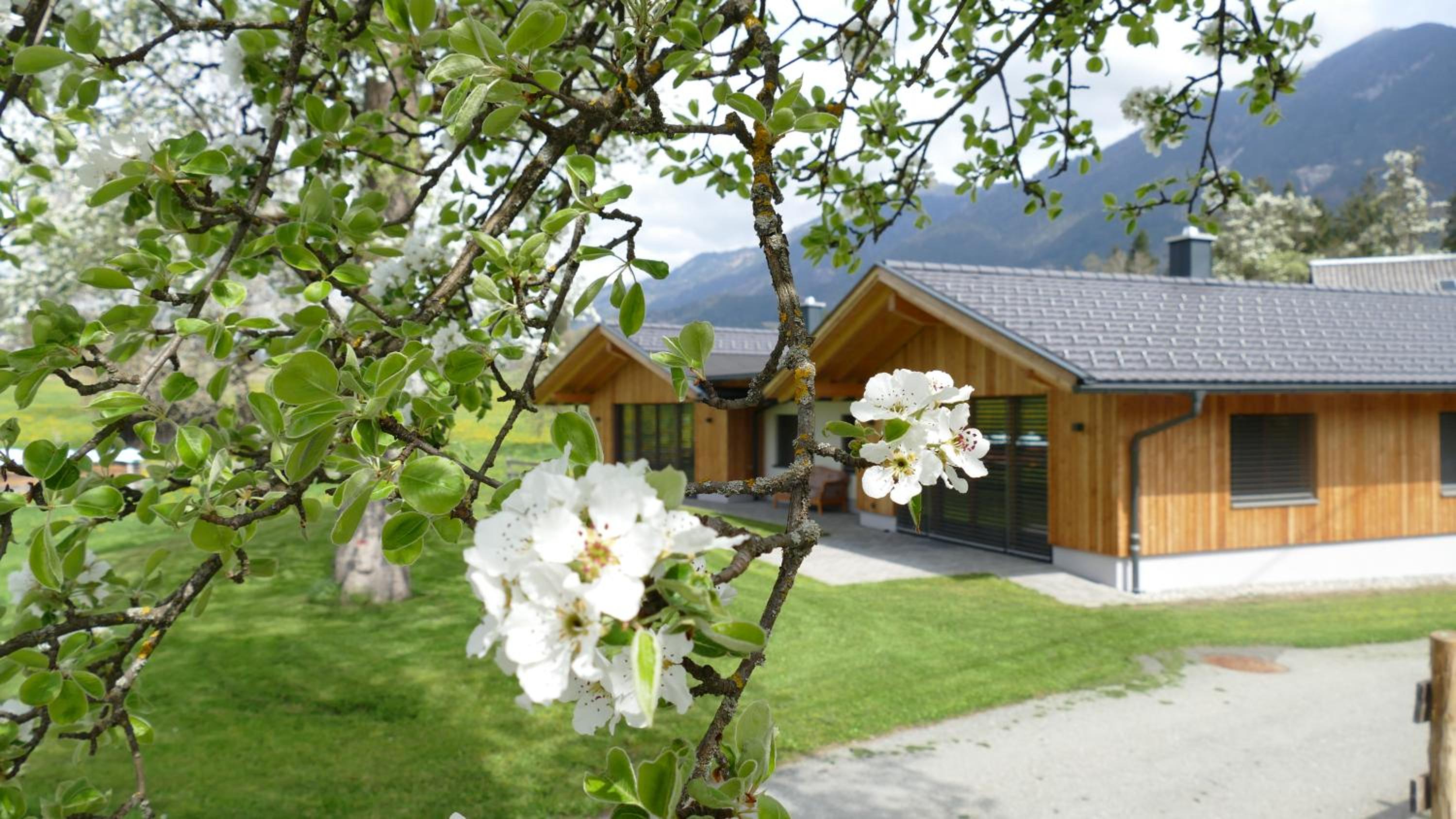 Ferienhaus Strohschneider