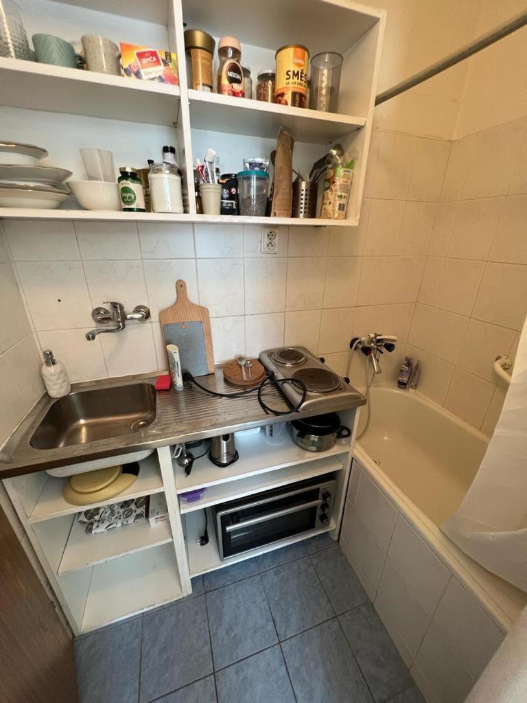 Apartment Lublanska 48