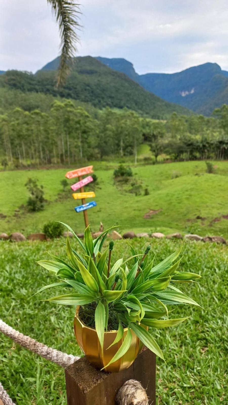 Vista dos Canyons