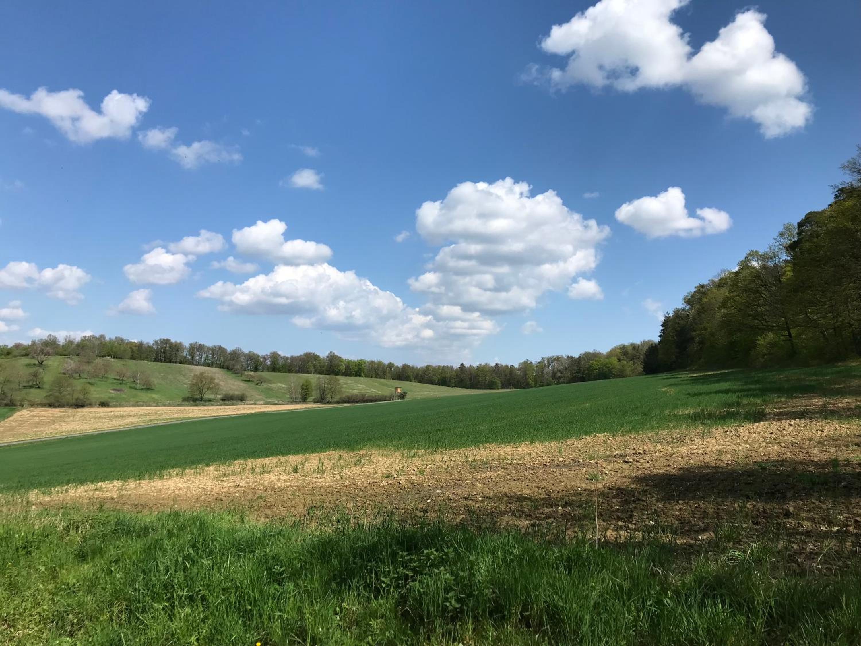 Der Reinerhof