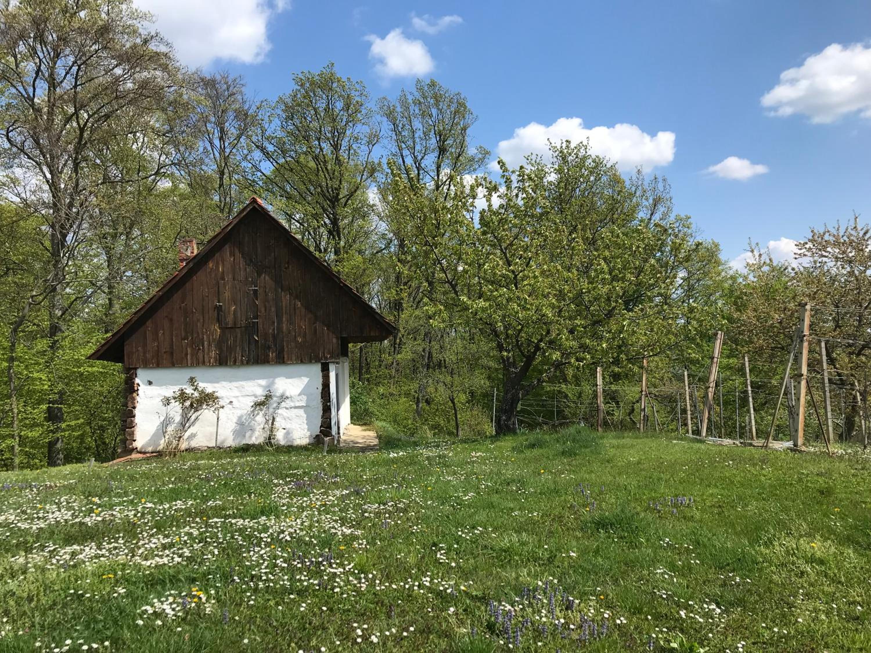 Der Reinerhof