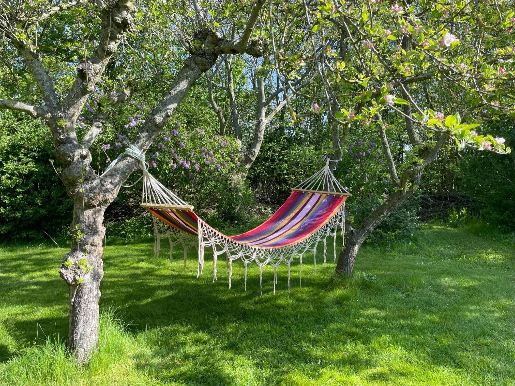 Vakantiehuis 't Boerderietje view 5