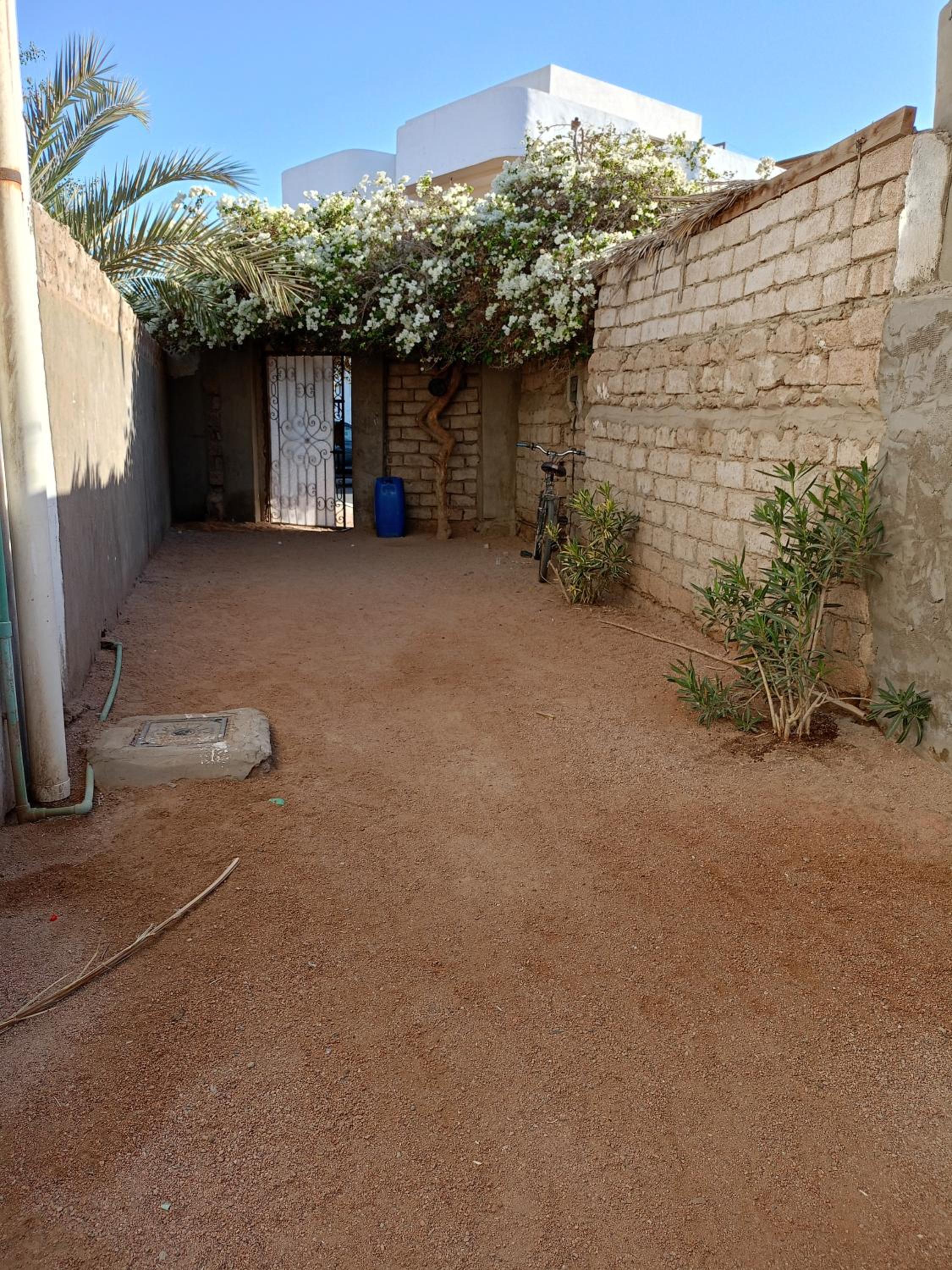 House with backyard in dahab