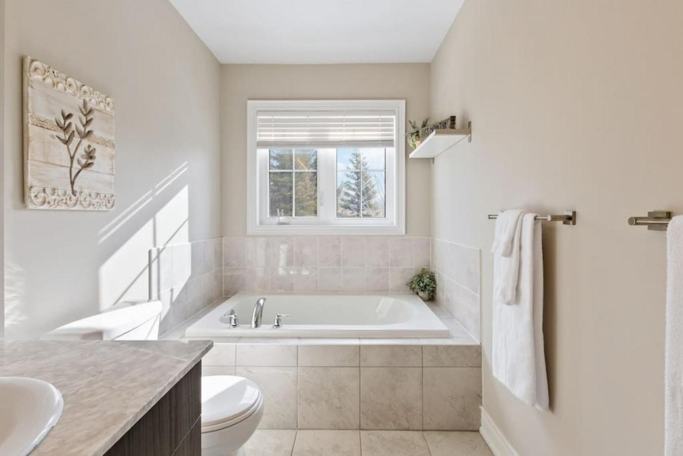 Mountain View Townhouse Fresh and Bright at Blue