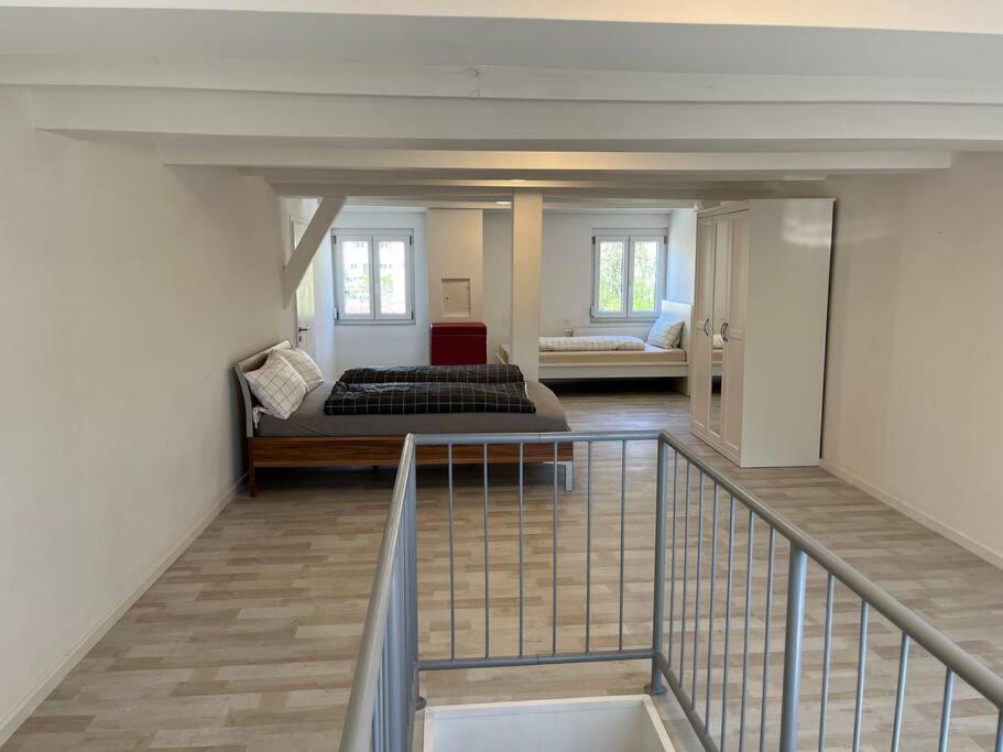 TTP 15 Markdorf