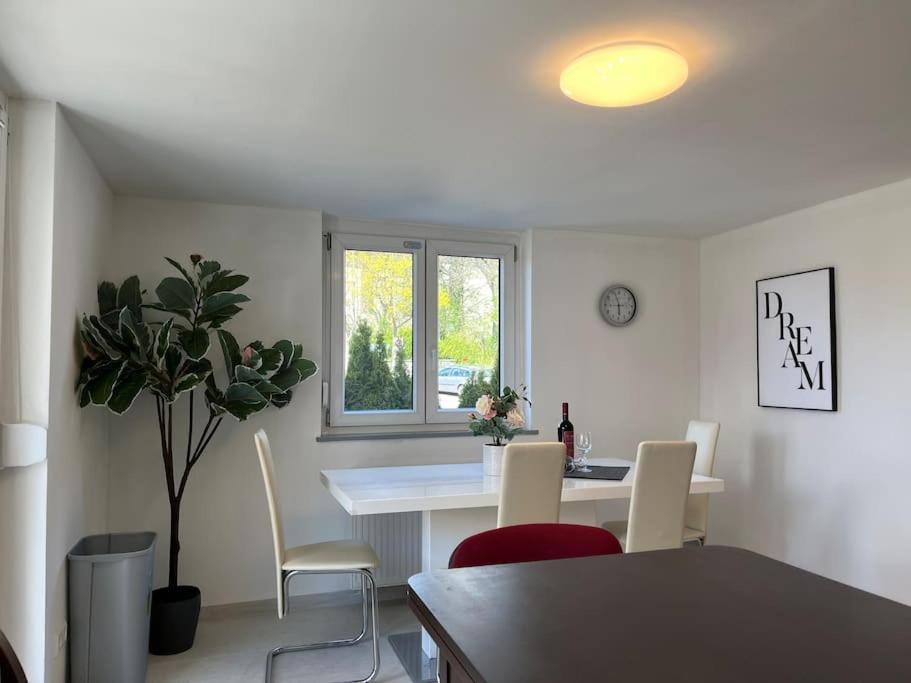 TTP 15 Markdorf