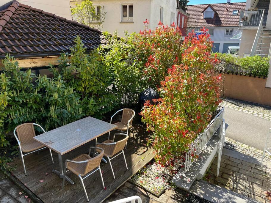 TTP 15 Markdorf
