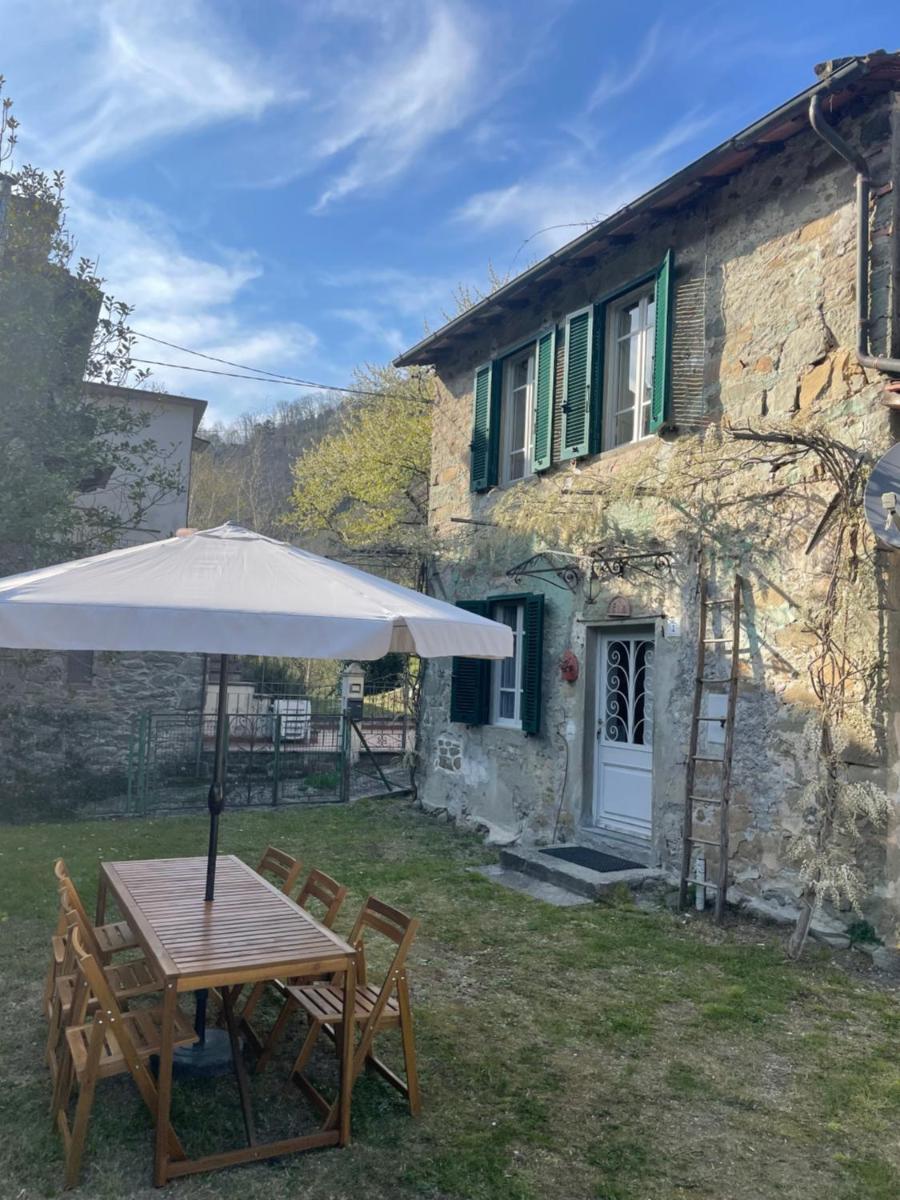 La Casina del Bassotto view 5