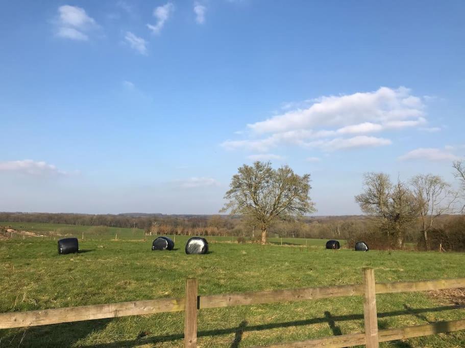 The Cowshed view 4