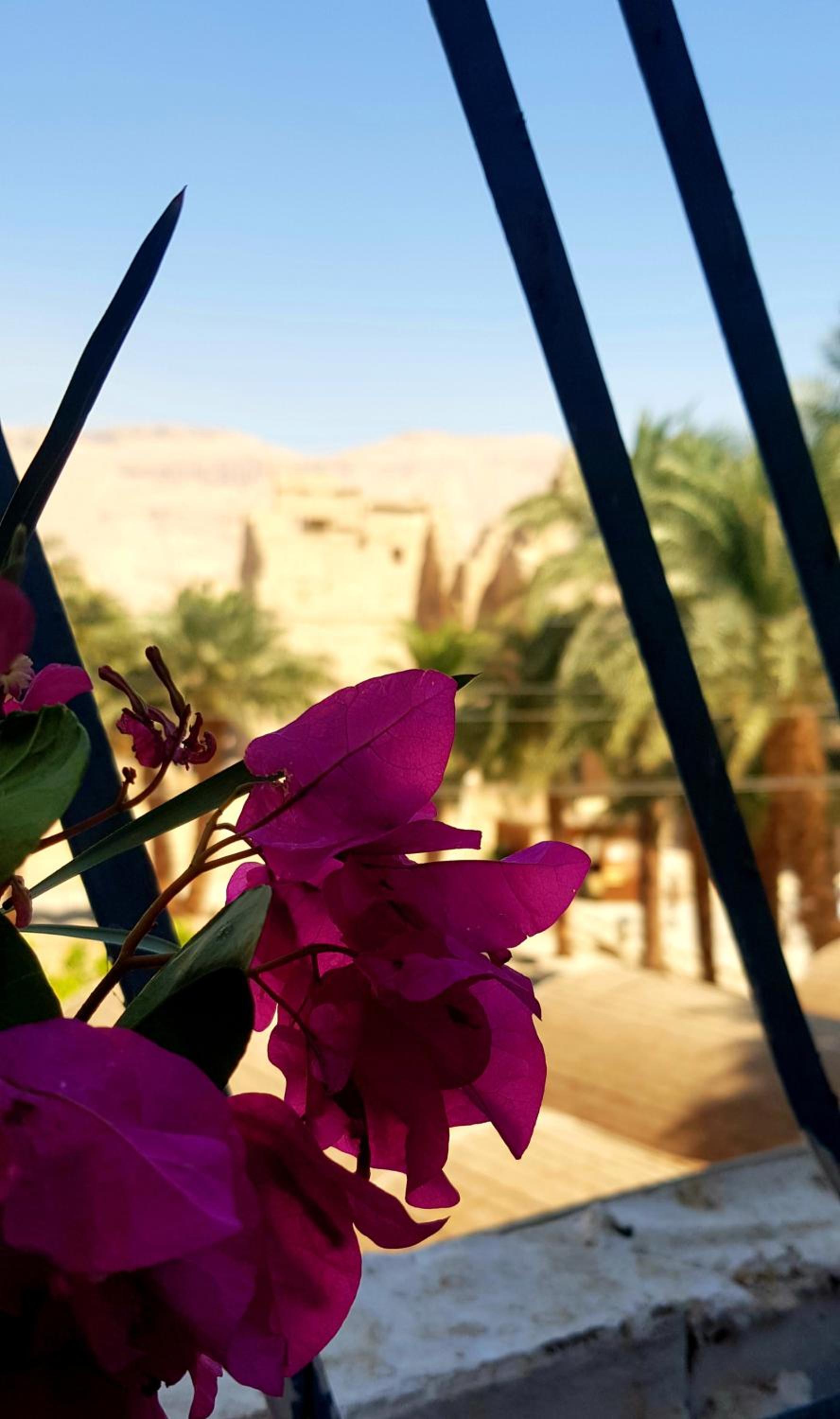 HabuHeritageHomeStayInLuxor