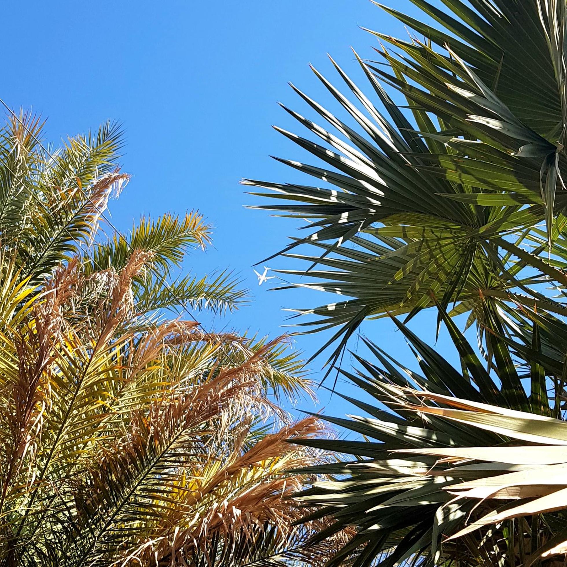 HabuHeritageHomeStayInLuxor